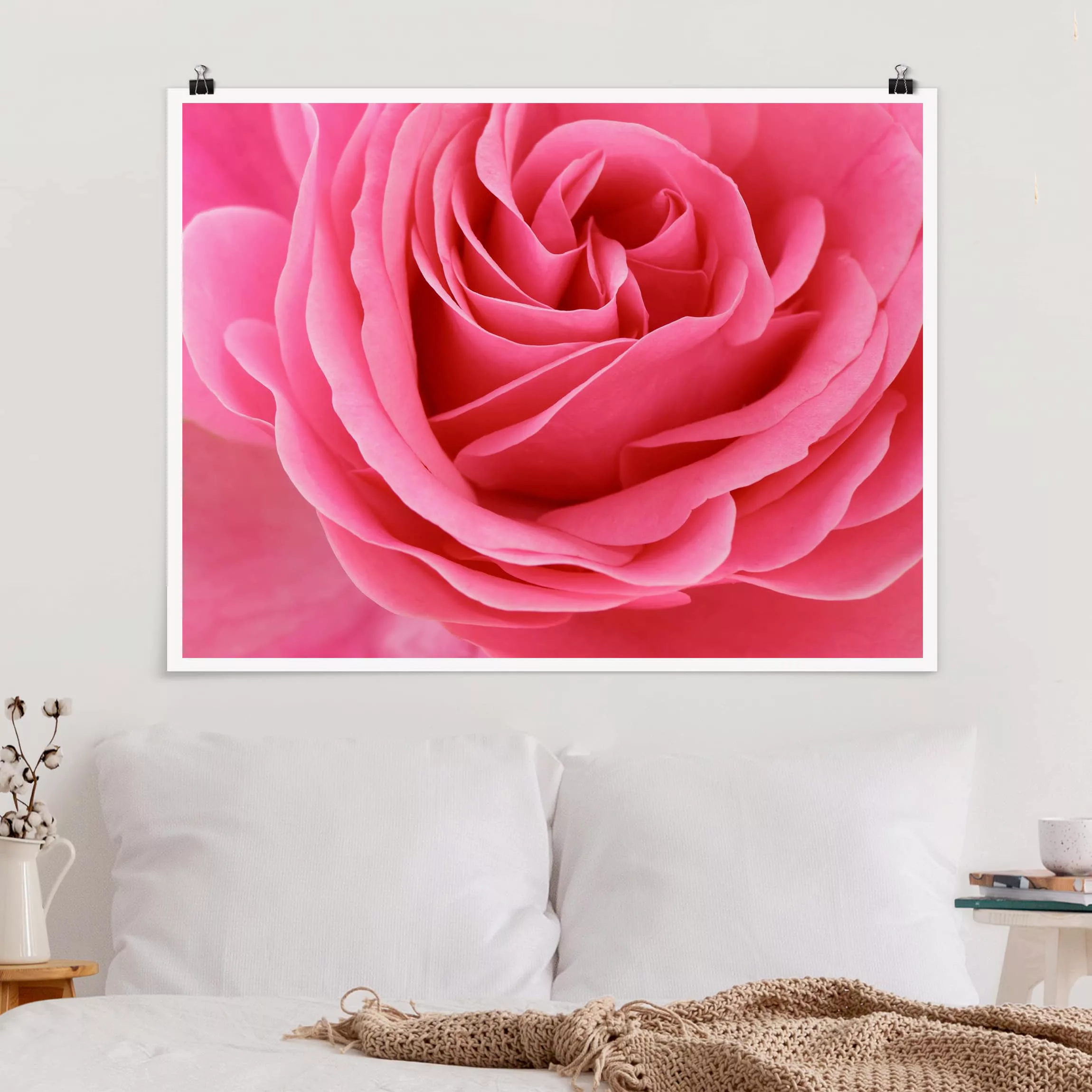 Poster Blumen - Querformat Lustful Pink Rose günstig online kaufen