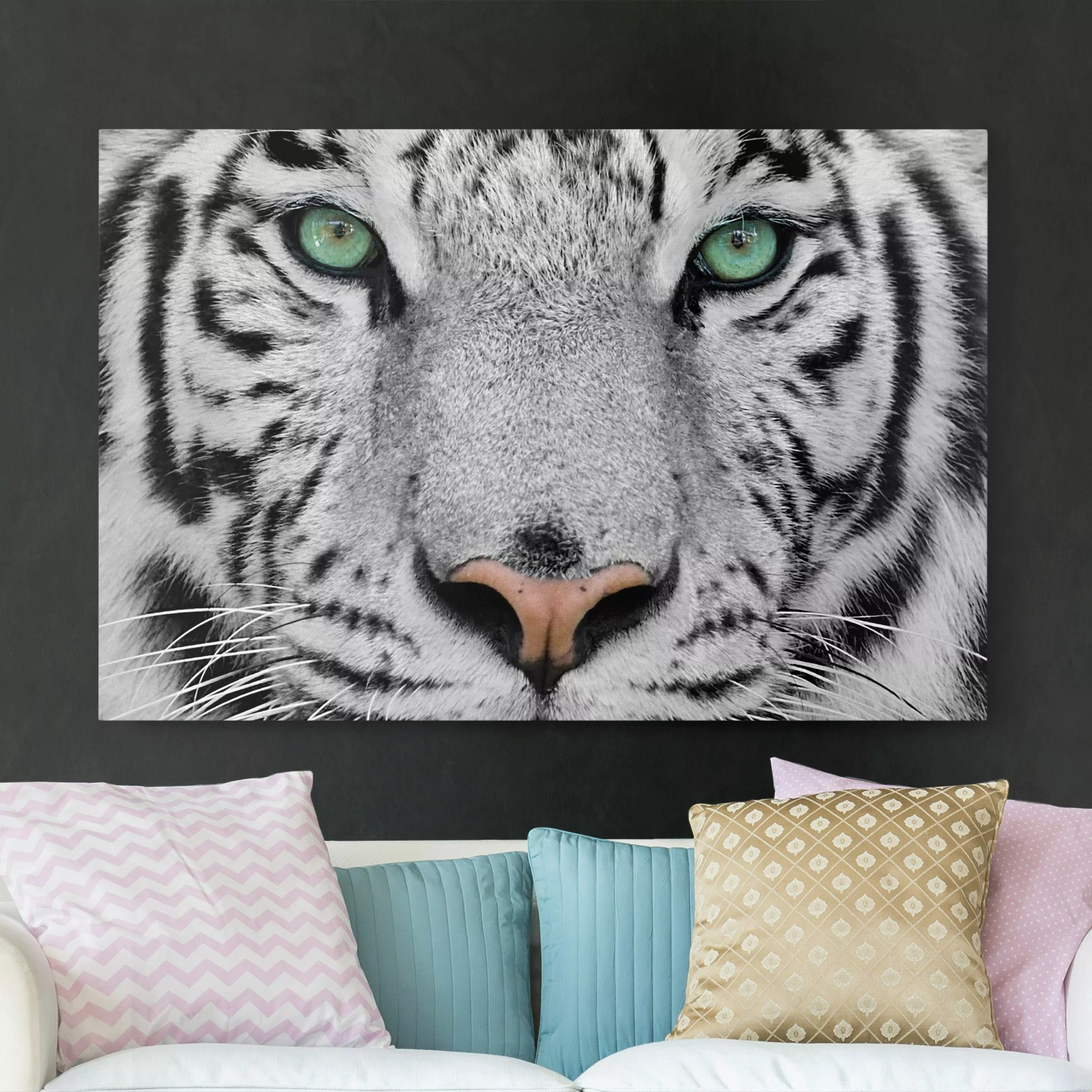 Leinwandbild Tiere - Querformat Weißer Tiger günstig online kaufen