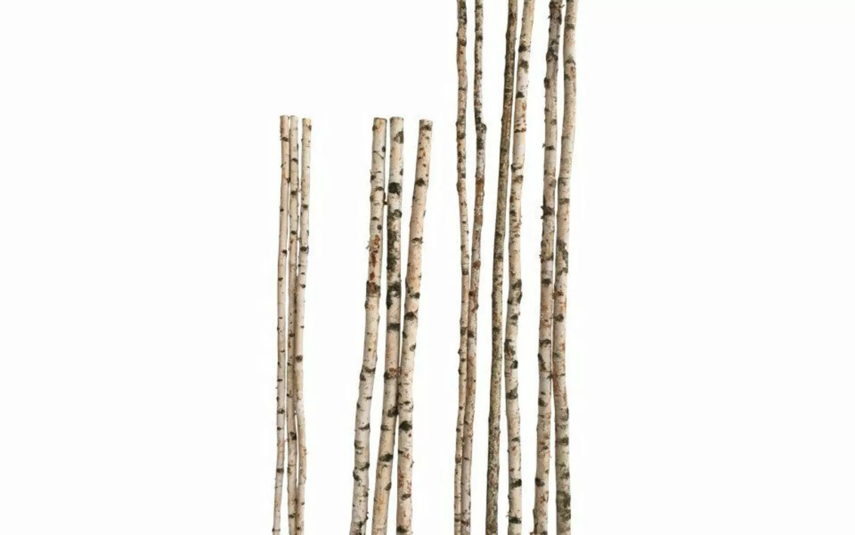 iWerk Dekofigur Birkenstamm 180 cm ø günstig online kaufen