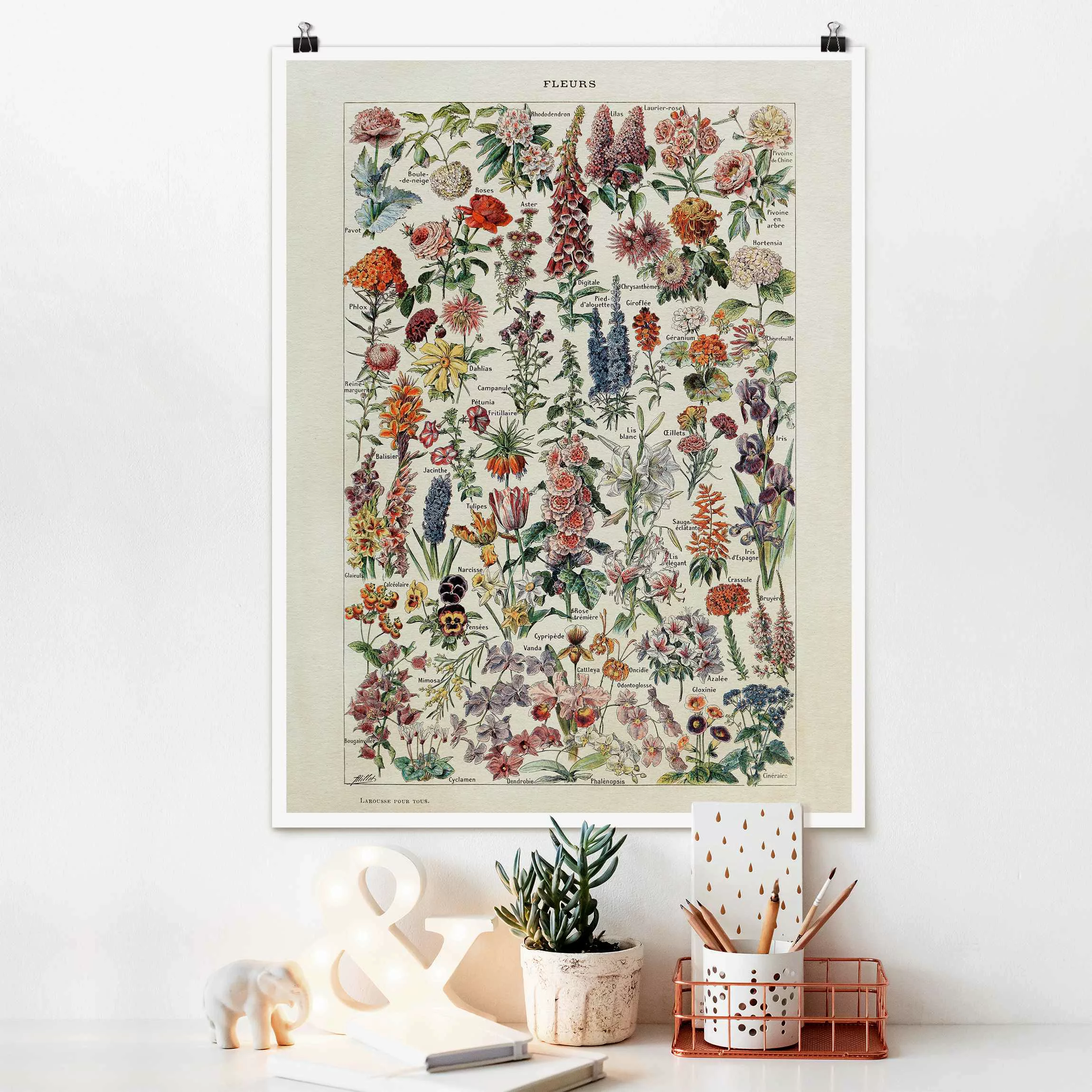 Poster Vintage Lehrtafel Blumen V günstig online kaufen