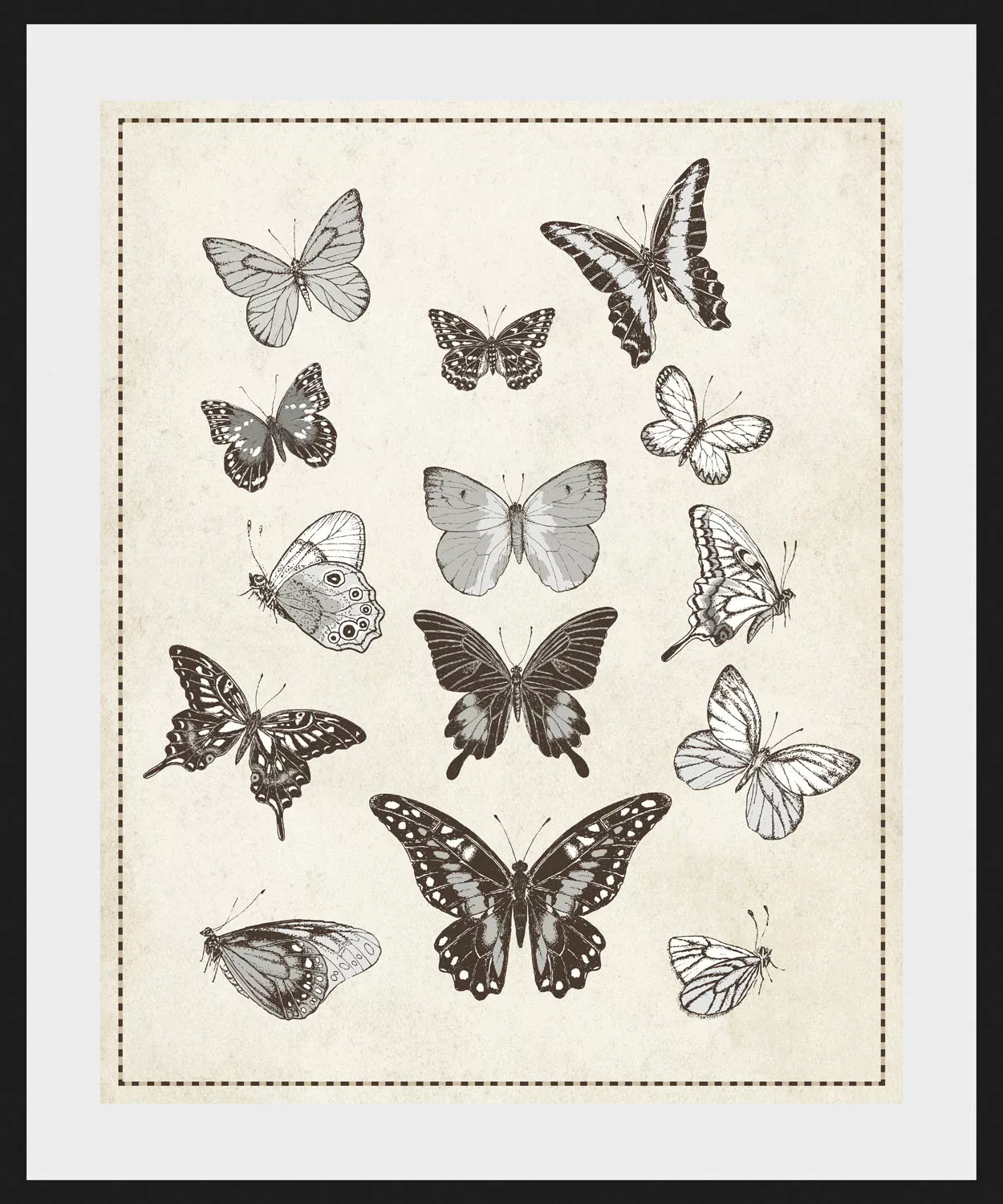 queence Bild »Pamela«, Schmetterlinge-Kunst-Insekten-historische Ereignisse günstig online kaufen