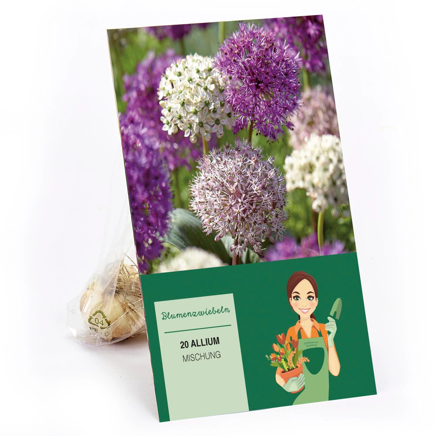 Zierlauch Purple Sensation Mischung 20 Stück Allium günstig online kaufen