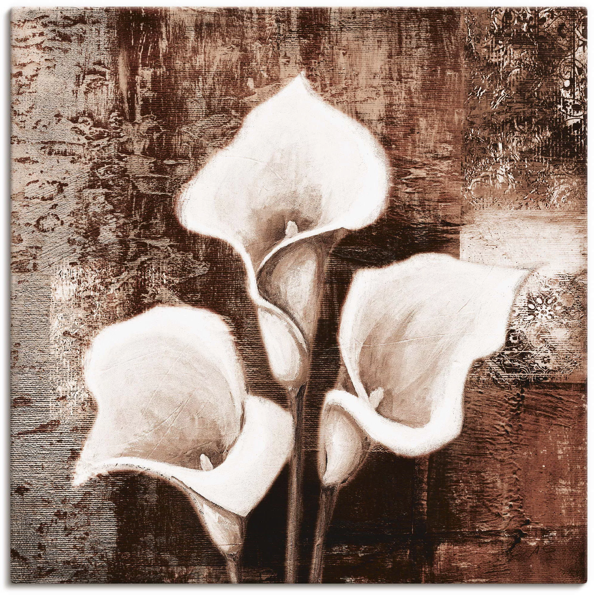 Artland Wandbild "Antike Callas - braun", Blumen, (1 St.), als Leinwandbild günstig online kaufen
