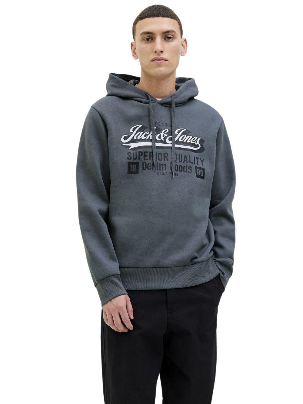 Jack & Jones Kapuzensweatshirt JJELOGO SWEAT günstig online kaufen