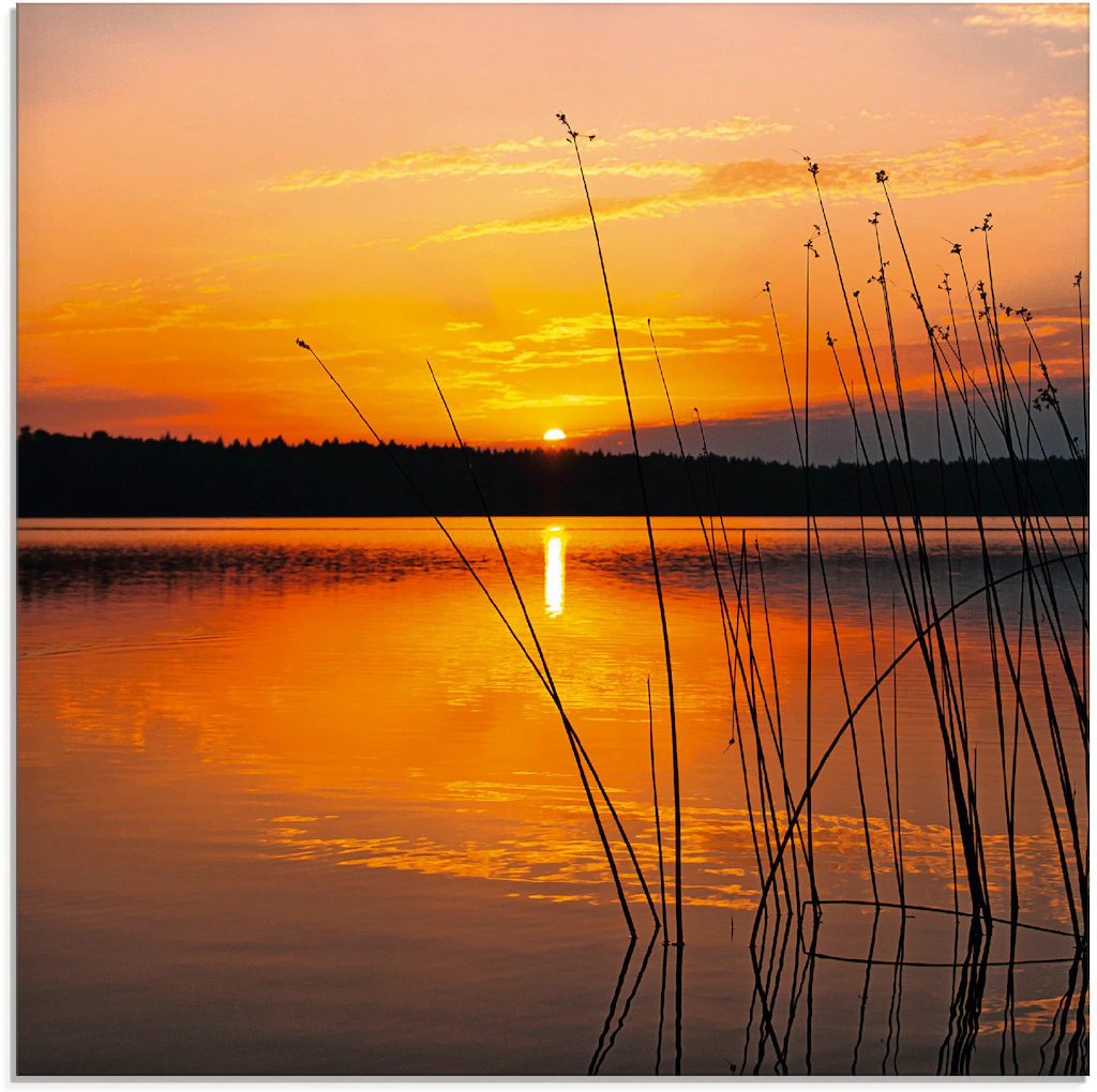 Artland Glasbild "Landschaft mit Sonnenaufgang", Sonnenaufgang & -untergang günstig online kaufen