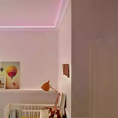 Ledvance LED-Strip Neon Flex 29 W 1.700 lm Warmweiß 500 cm günstig online kaufen