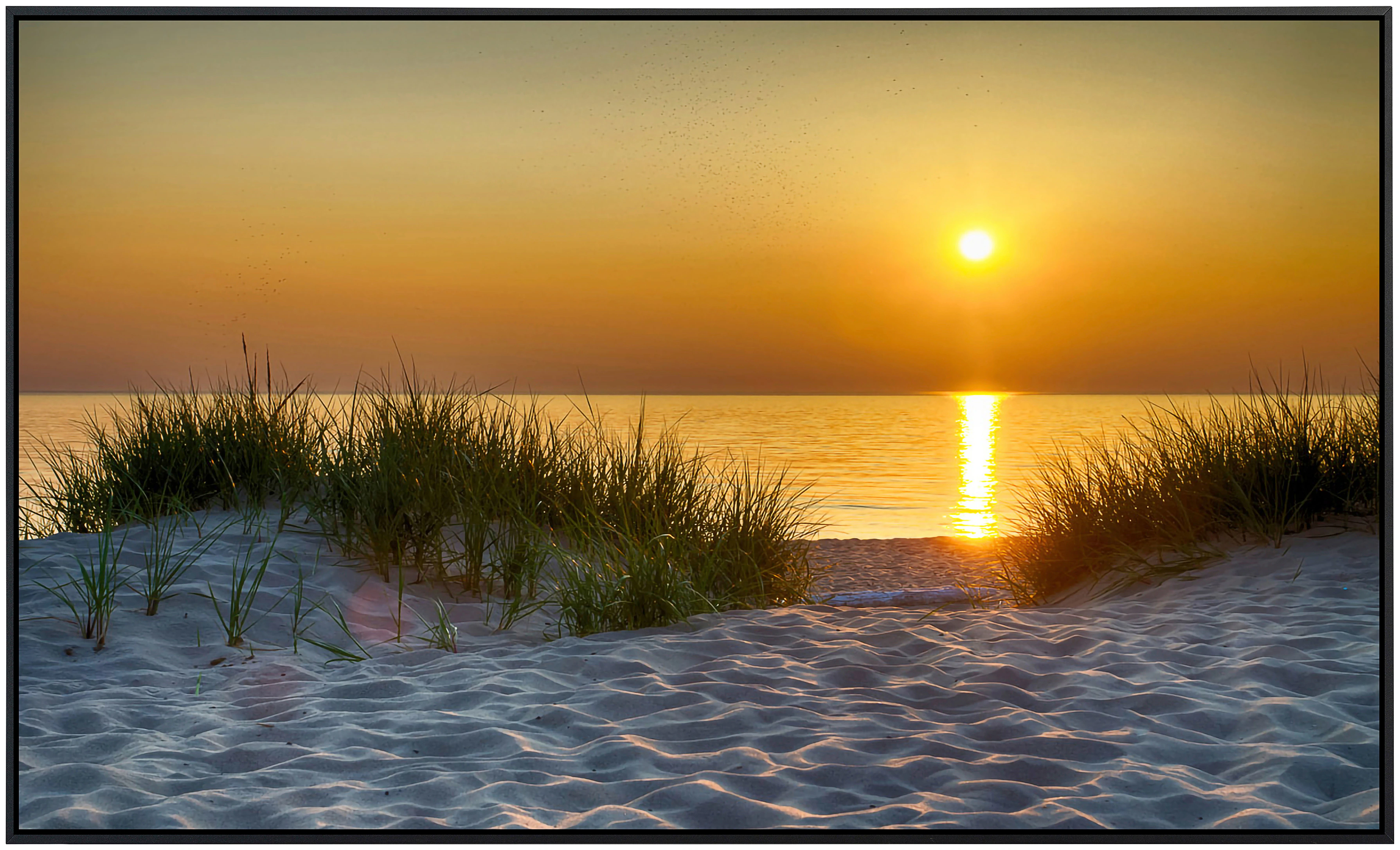 Papermoon Infrarotheizung »Dunes Lake Michigan«, sehr angenehme Strahlungsw günstig online kaufen