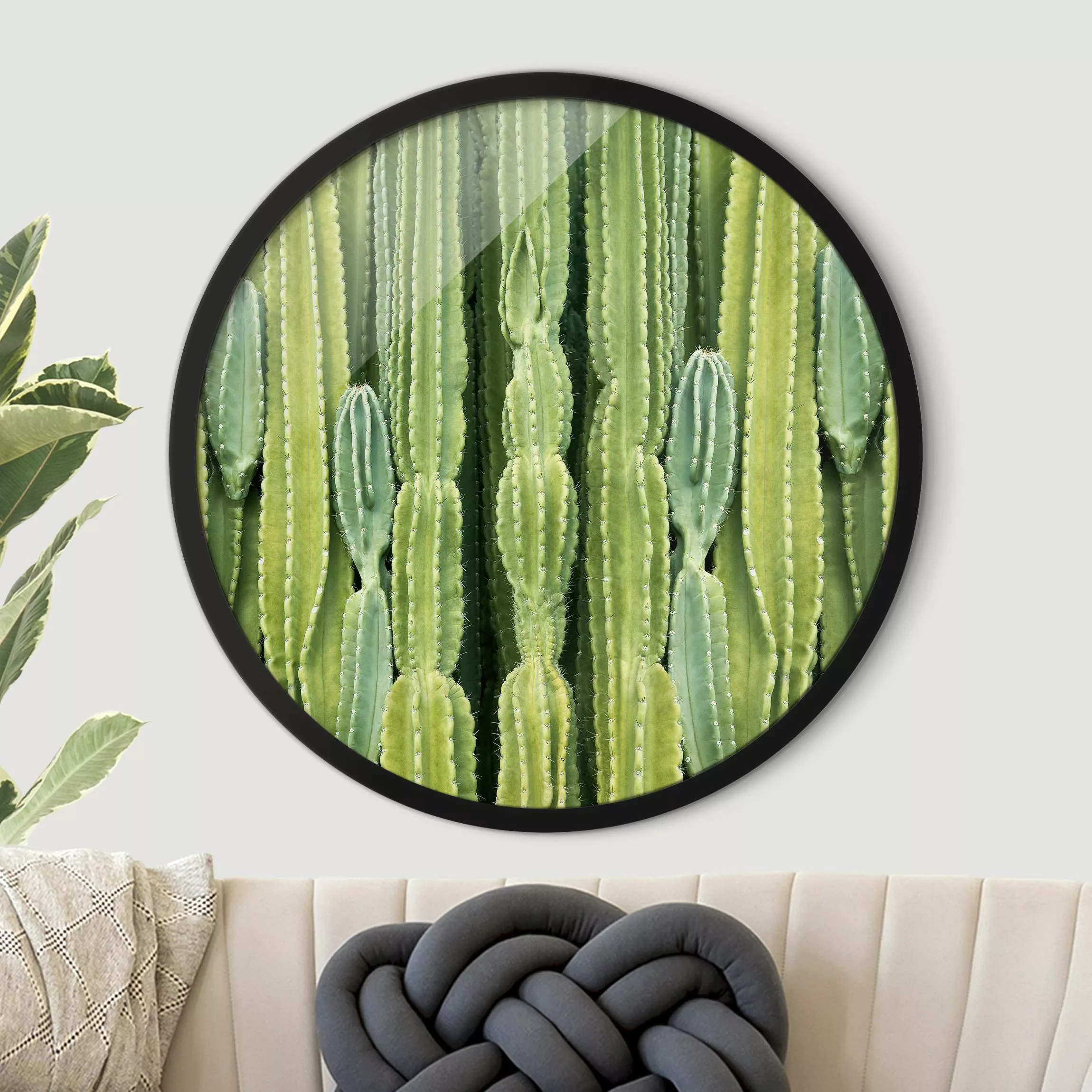 Rundes Gerahmtes Bild Kaktus Wand günstig online kaufen