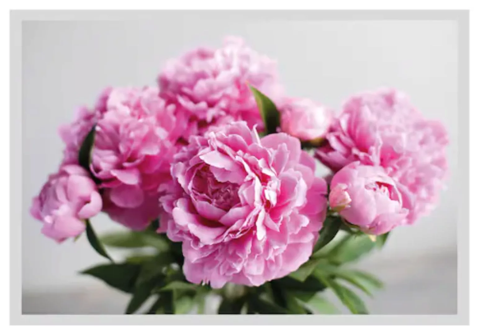 queence Bild »Linn«, Blumen, gerahmt, Rosen günstig online kaufen