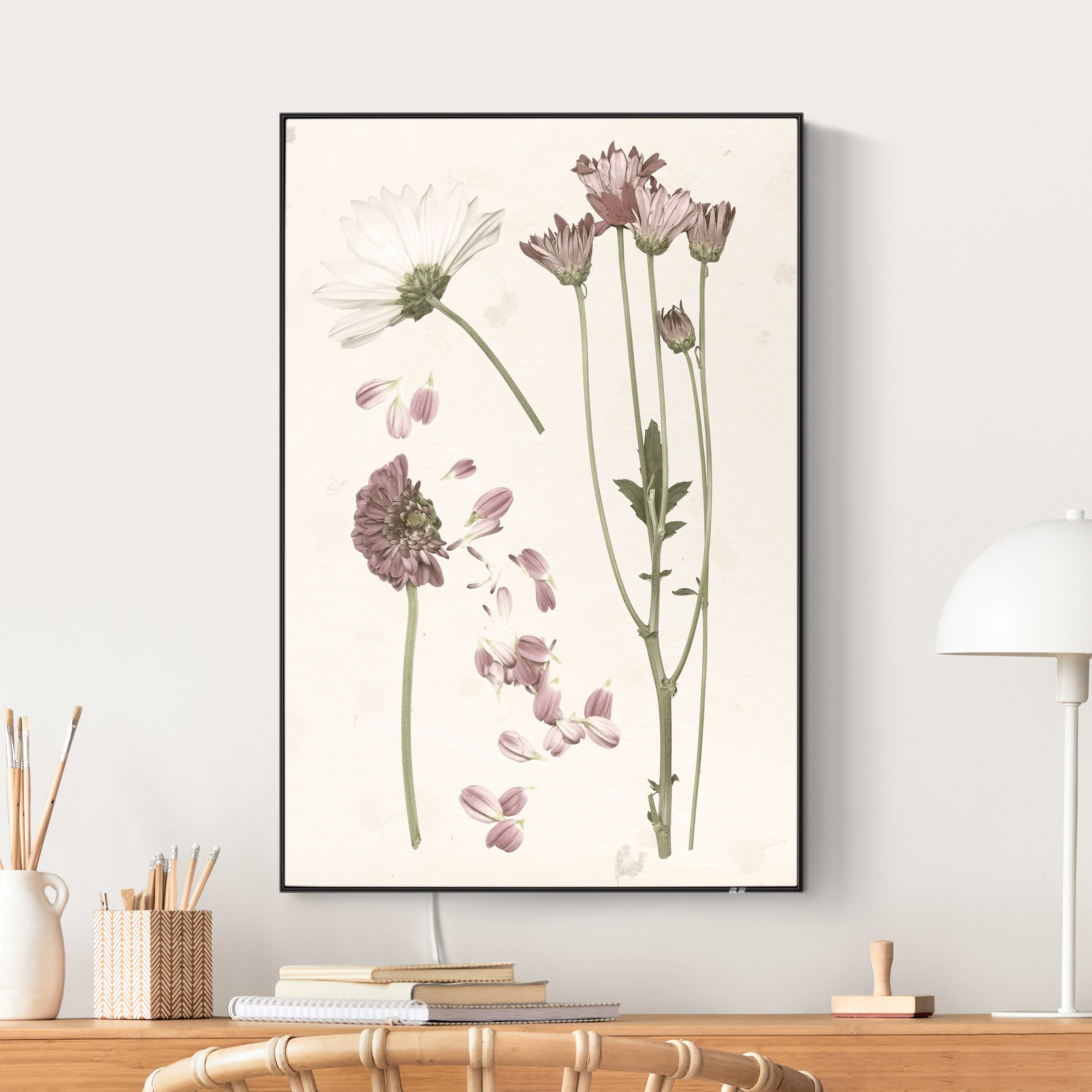 LED-Wechselbild Herbarium in rosa II günstig online kaufen