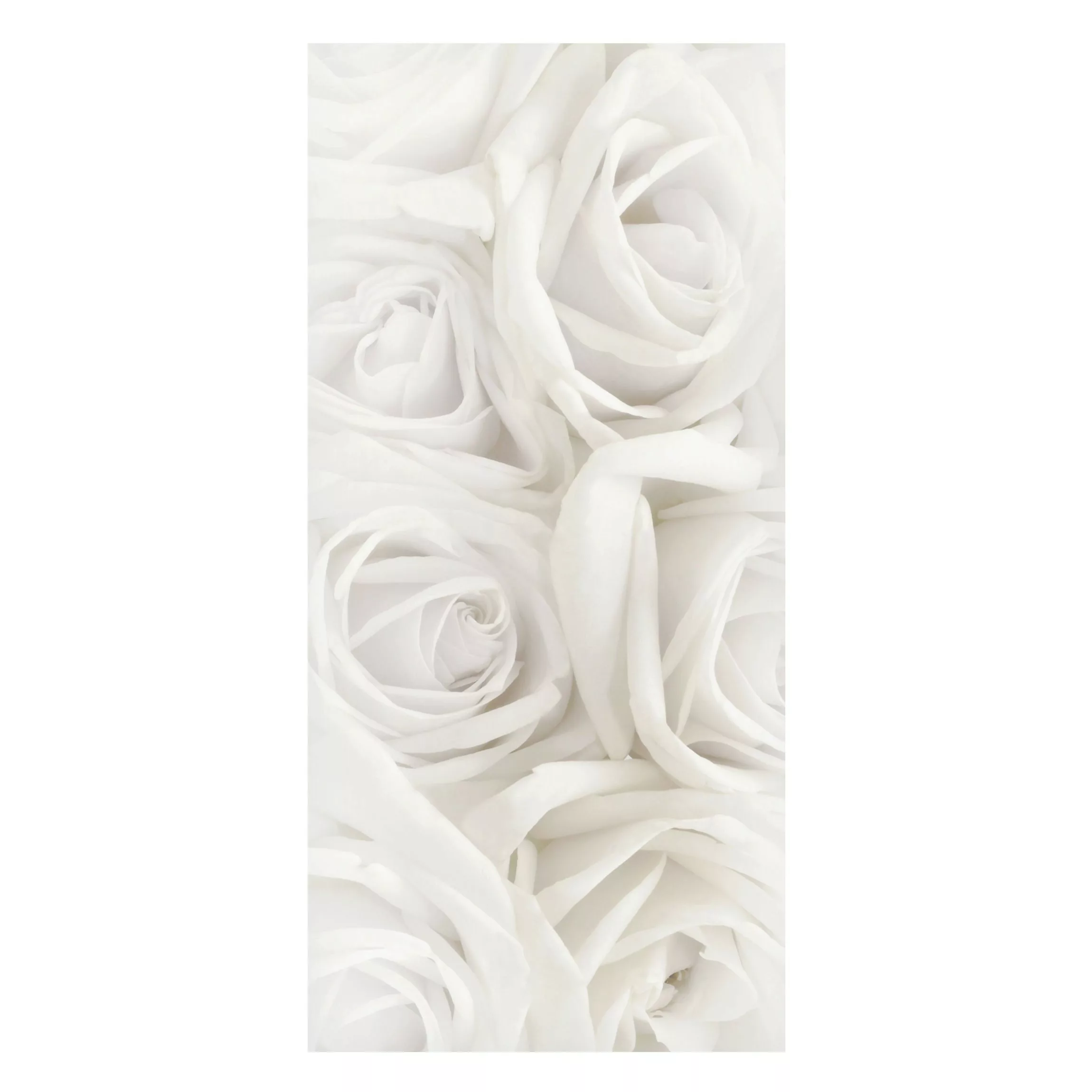 Magnettafel Blumen - Hochformat 1:2 Weiße Rosen günstig online kaufen