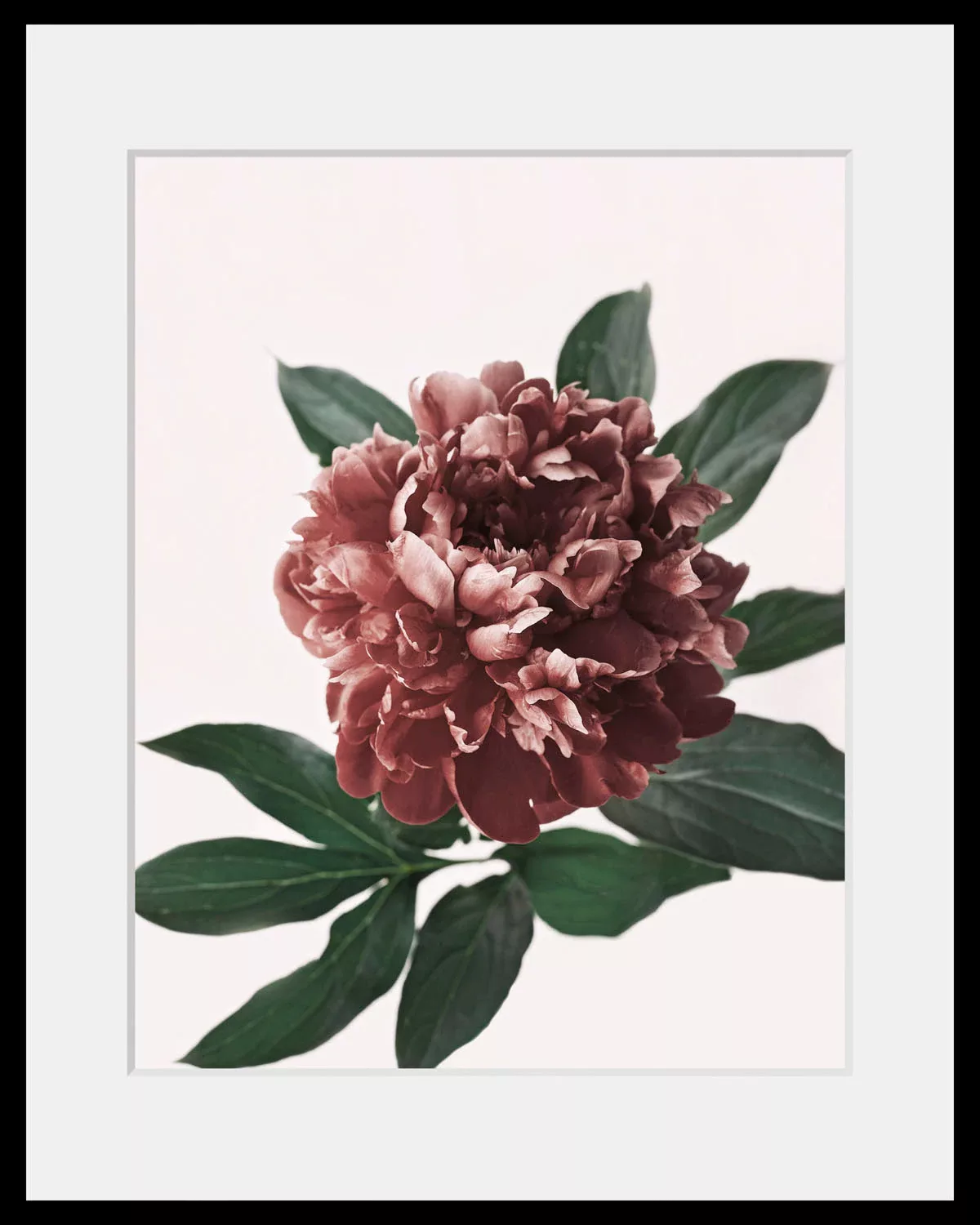 queence Bild »Corinna«, (1 St.), HD Premium Poster-Druck inkl. Holzrahmen günstig online kaufen