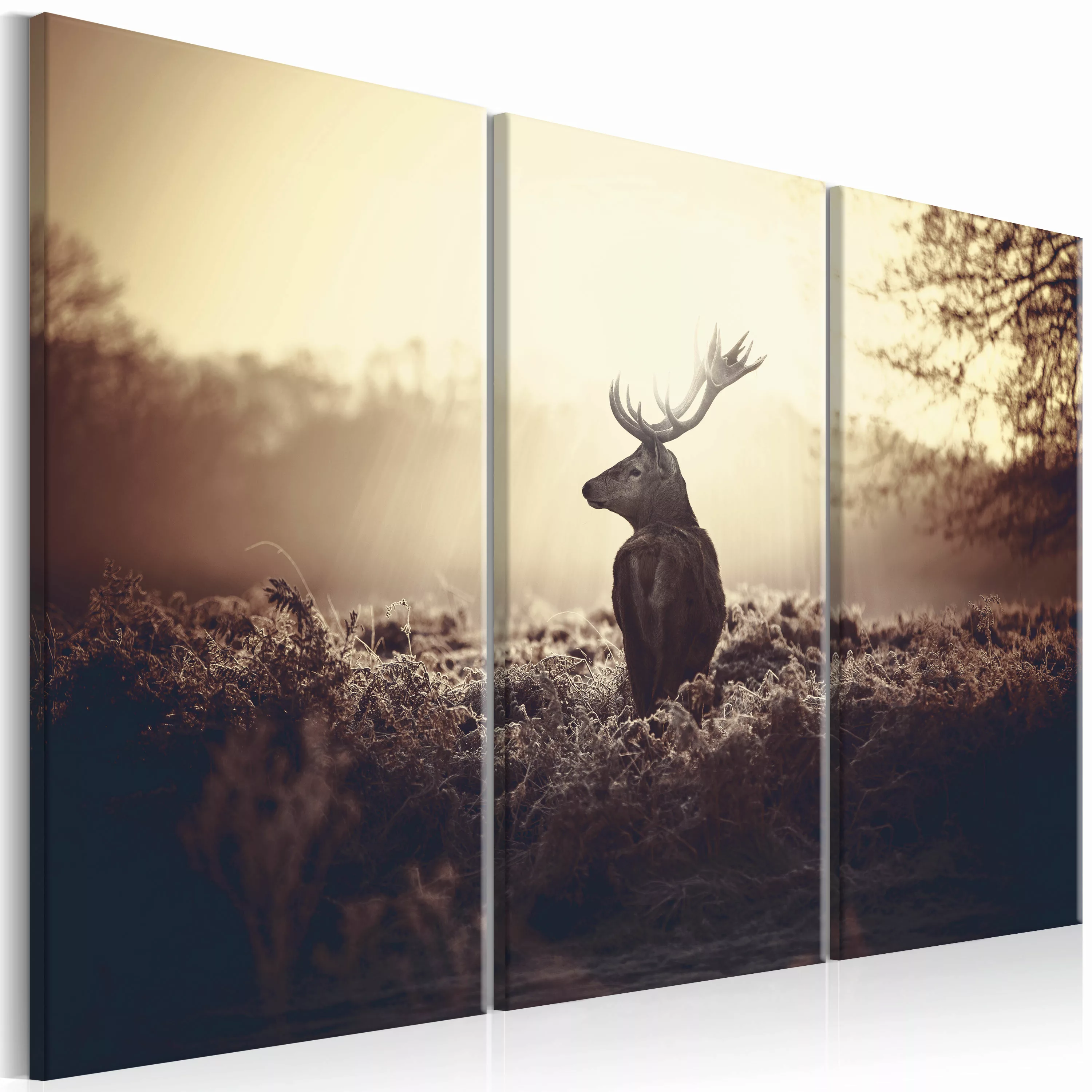 Wandbild - Lurking Deer I günstig online kaufen