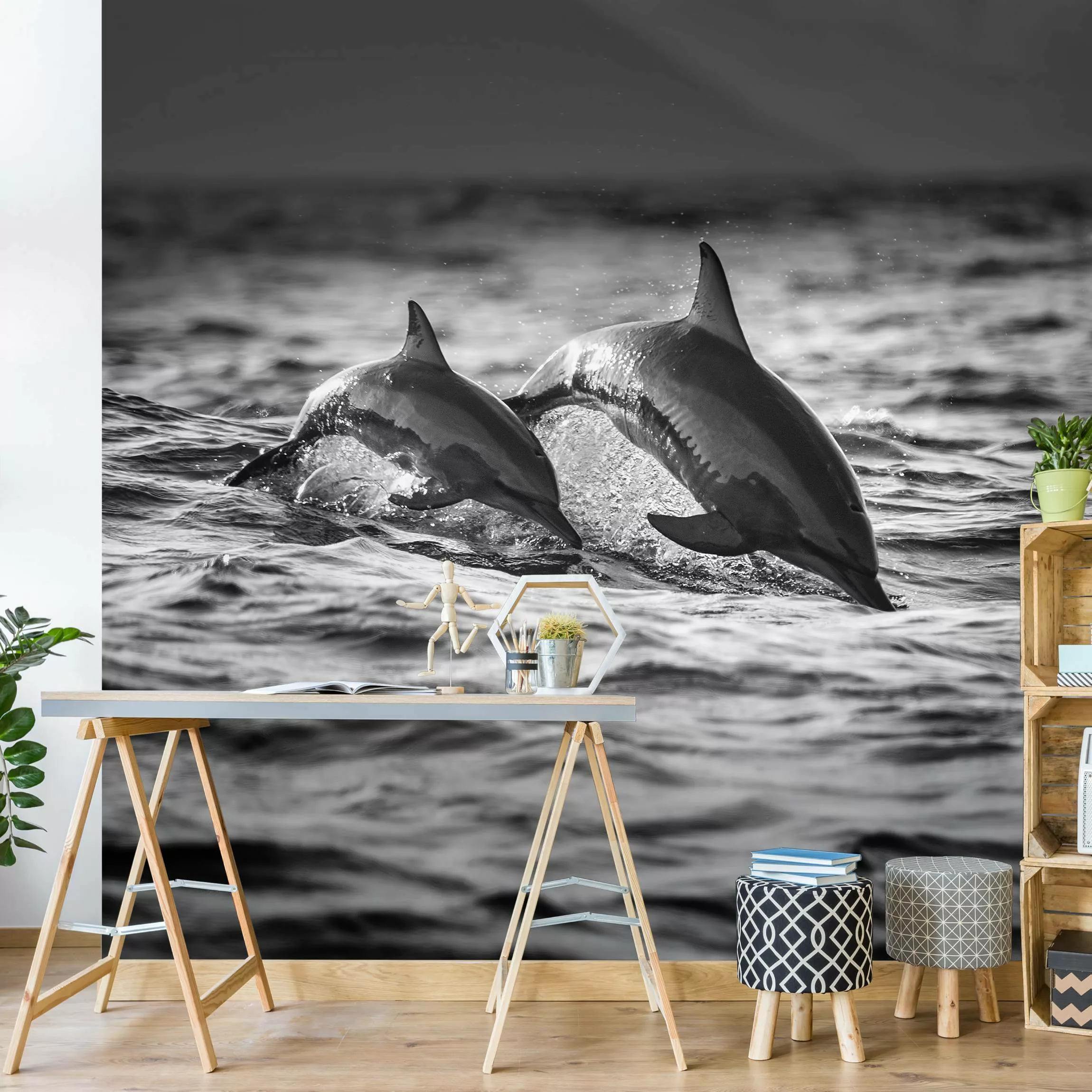 Fototapete Zwei springende Delfine günstig online kaufen