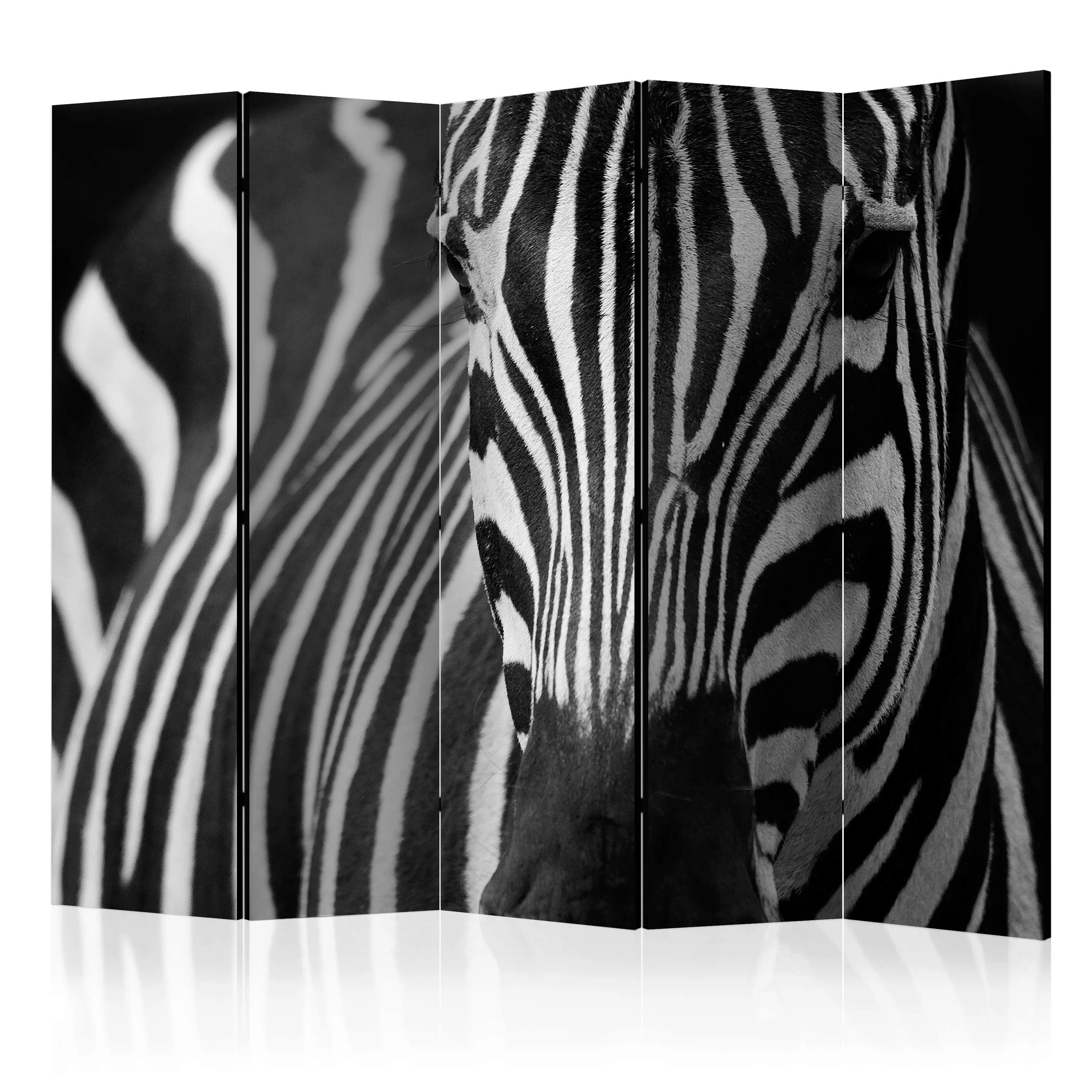 5-teiliges Paravent - White With Black Stripes Ii [room Dividers] günstig online kaufen