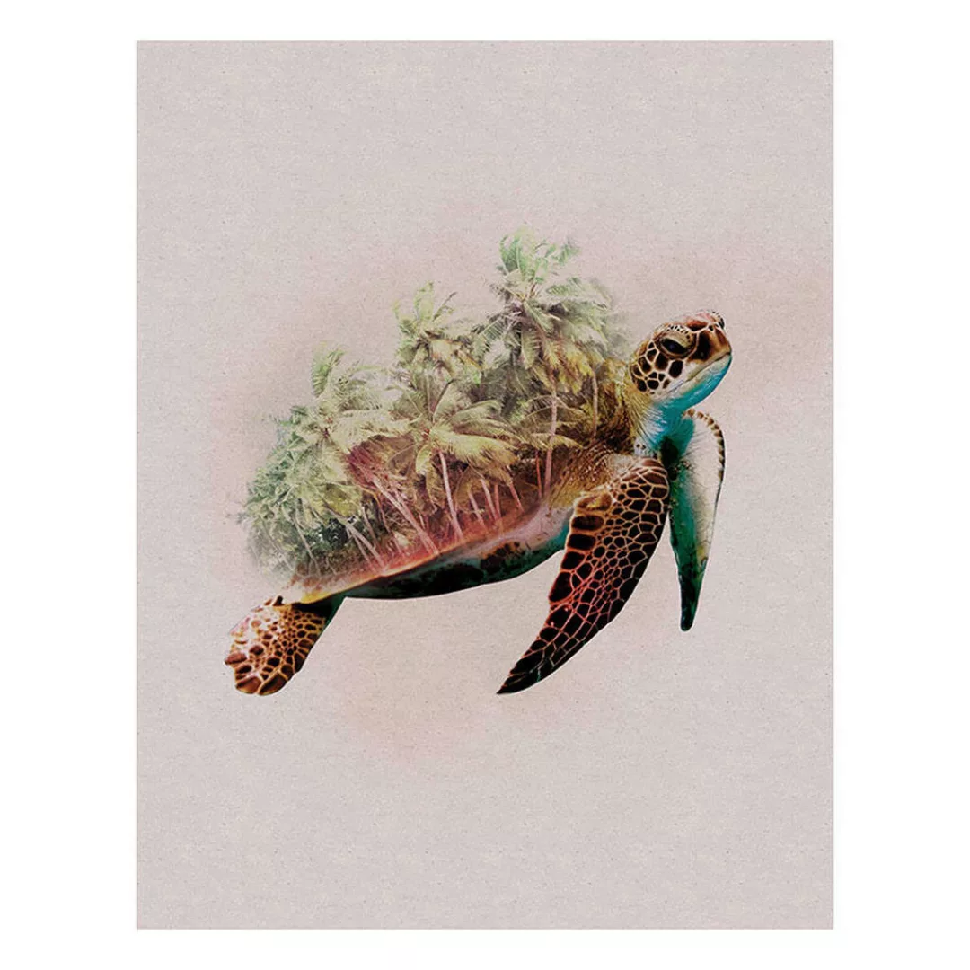 Komar Wandbild Animals Paradise Turtle Tiere B/L: ca. 40x50 cm günstig online kaufen
