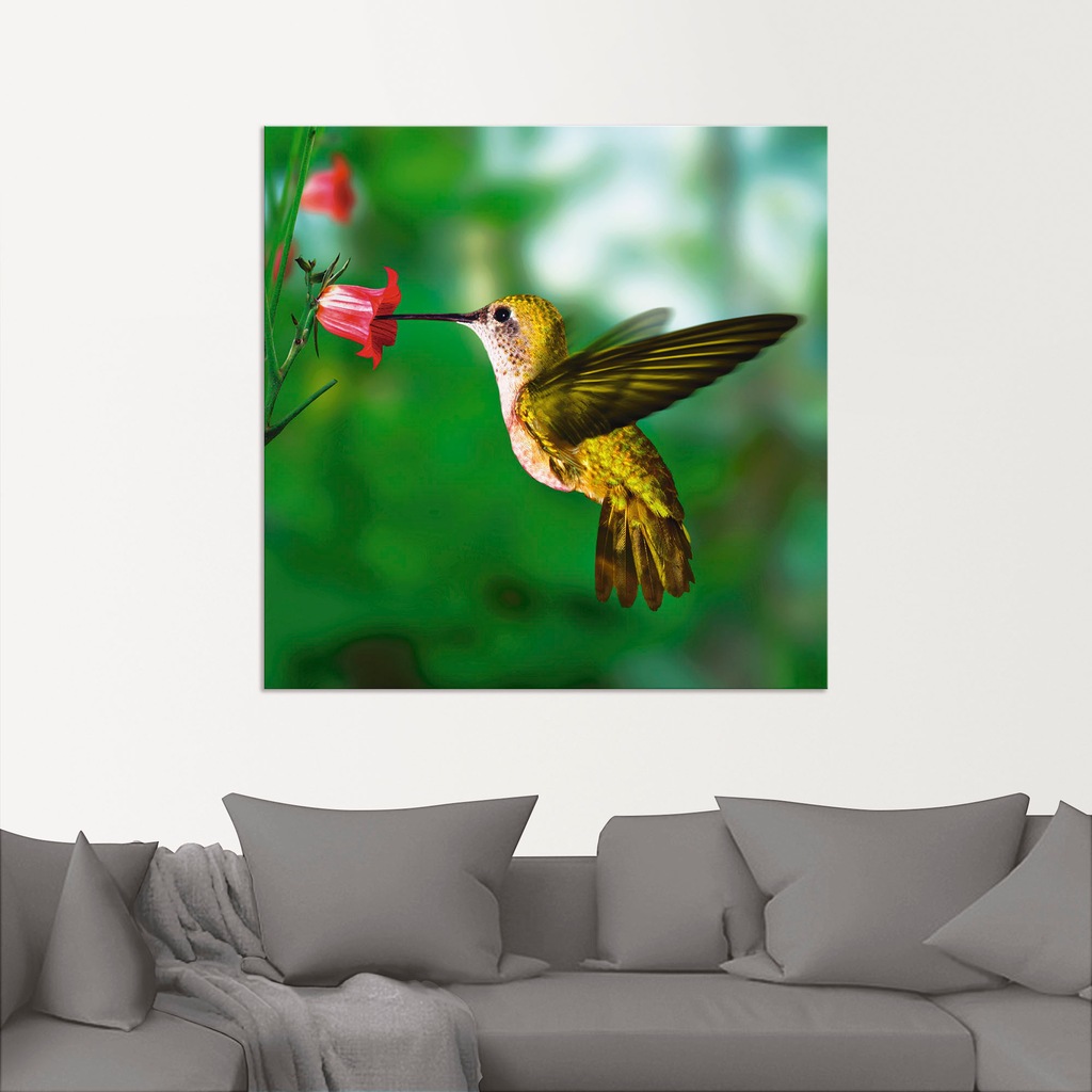 Artland Wandbild "Kolibri", Vögel, (1 St.), als Alubild, Outdoorbild, Leinw günstig online kaufen