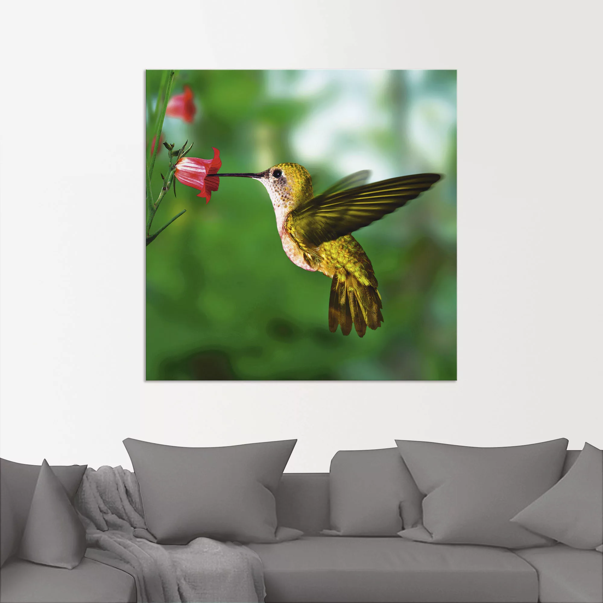 Artland Wandbild "Kolibri", Vögel, (1 St.), als Alubild, Outdoorbild, Leinw günstig online kaufen