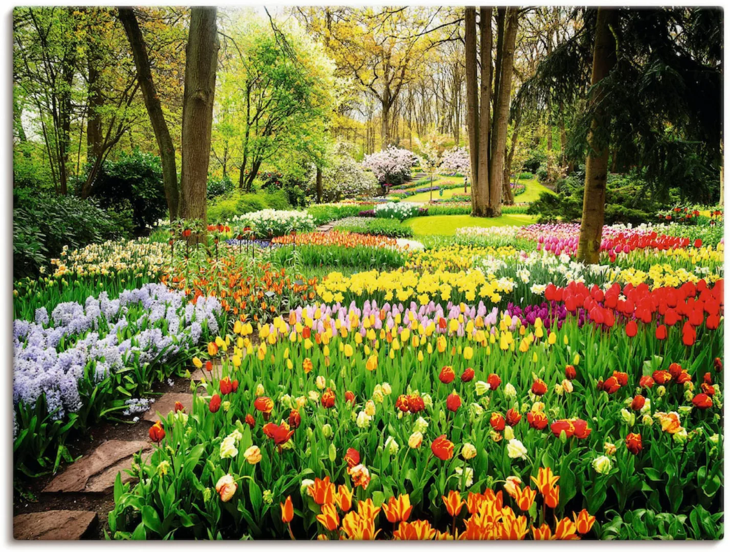 Artland Wandbild "Tulpen Garten Frühling", Blumenwiese, (1 St.), als Alubil günstig online kaufen