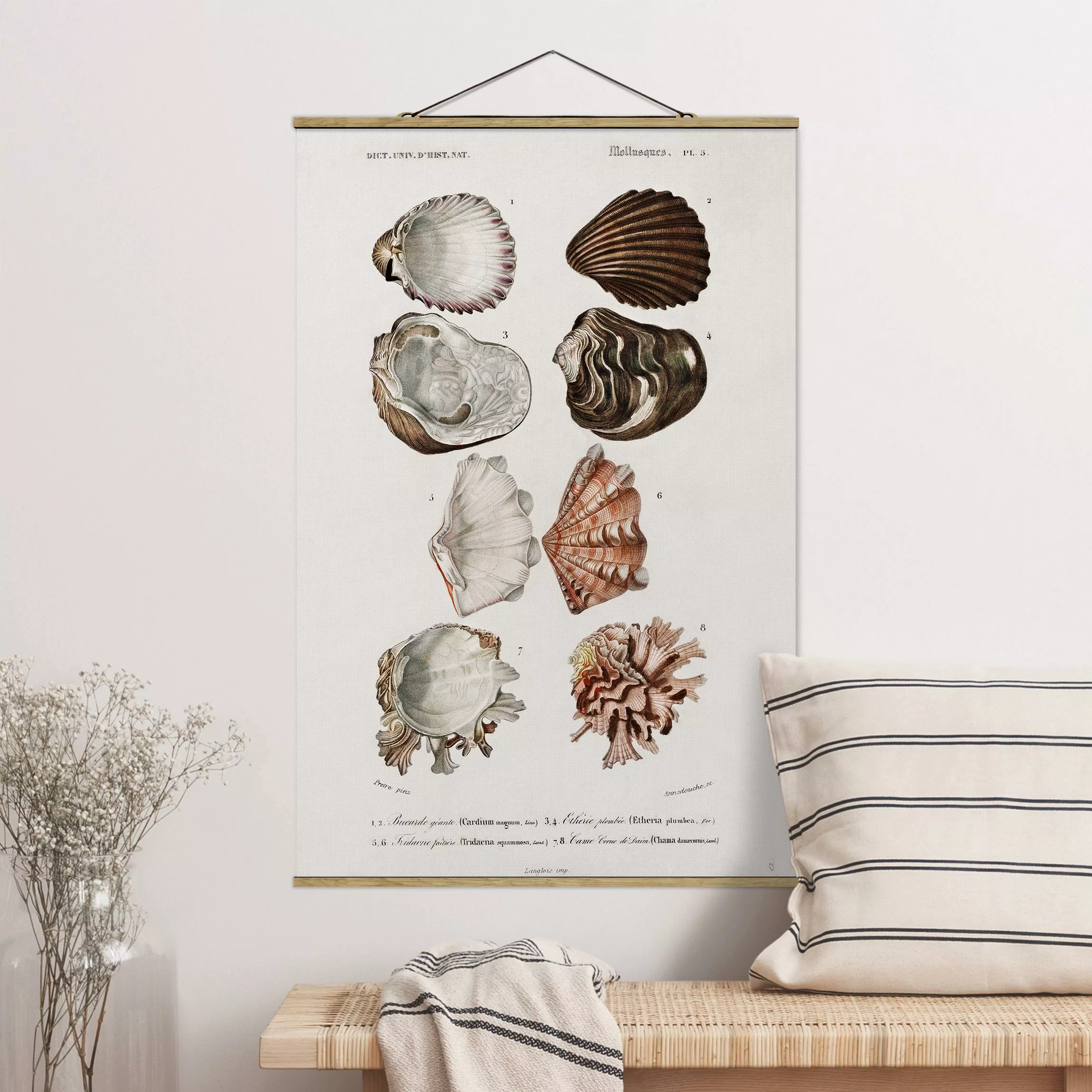 Stoffbild Strand mit Posterleisten - Hochformat Vintage Lehrtafel Acht Musc günstig online kaufen