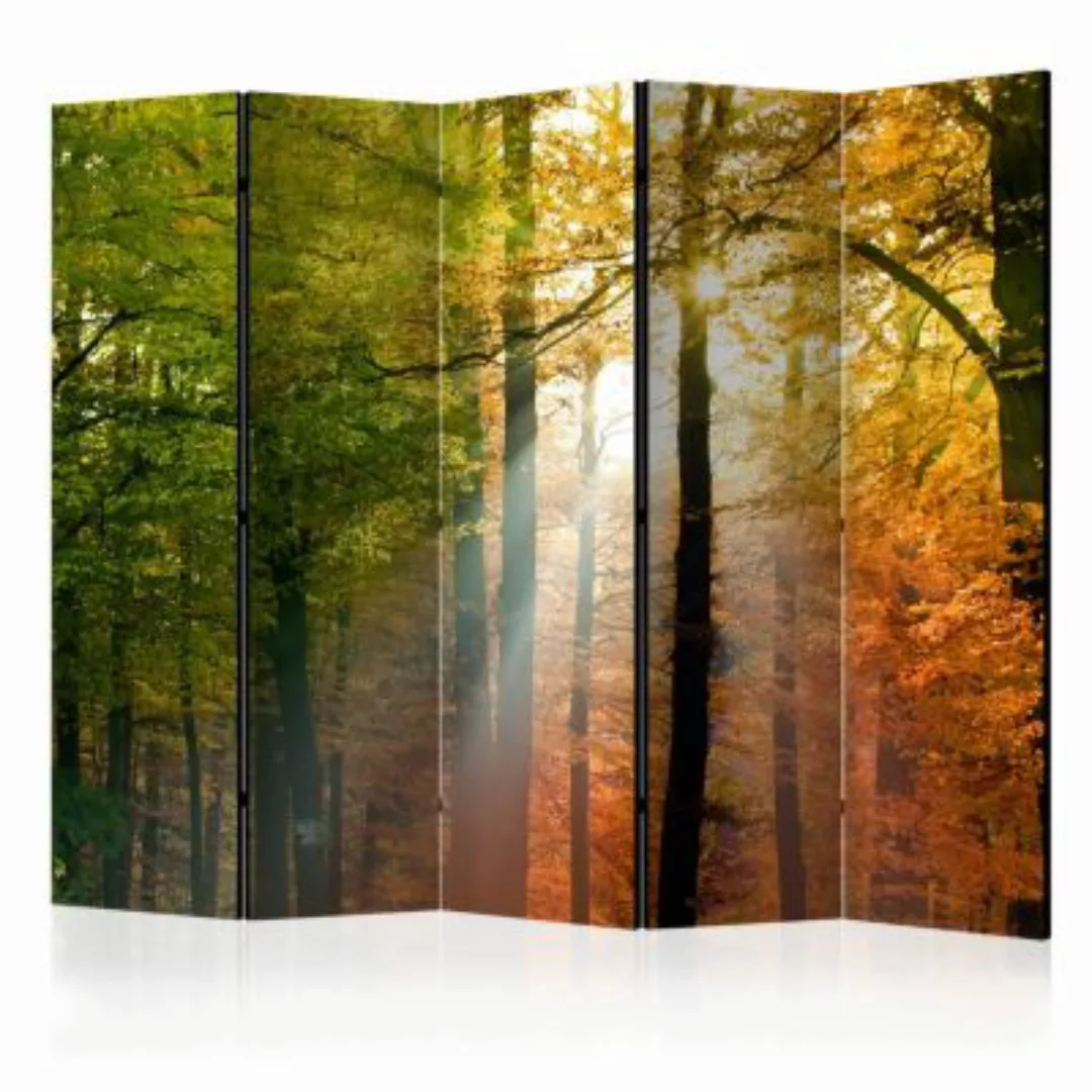 artgeist Paravent Forest Colours II [Room Dividers] mehrfarbig Gr. 225 x 17 günstig online kaufen