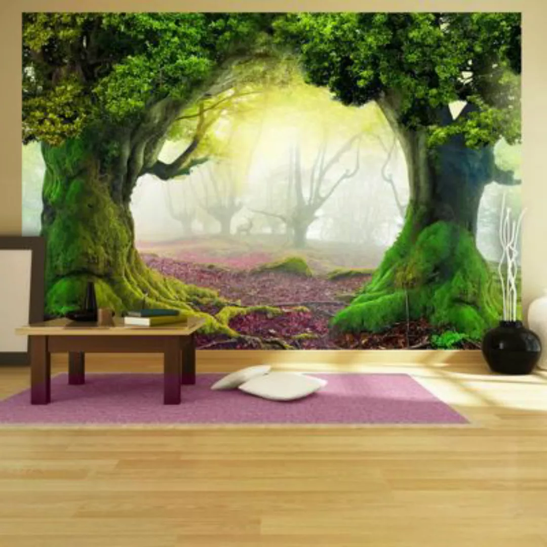 artgeist Fototapete Zauberwald mehrfarbig Gr. 150 x 105 günstig online kaufen