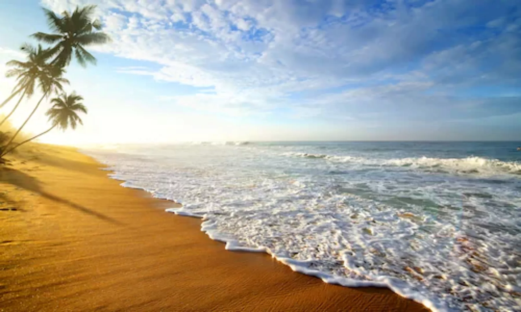 Papermoon Fototapete »Palm Beach Sri Lanka« günstig online kaufen