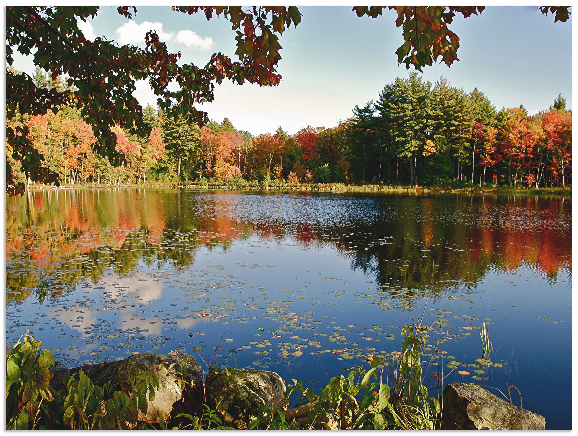 Artland Alu-Dibond-Druck »Landschaft New England«, Vier Jahreszeiten, (1 St günstig online kaufen