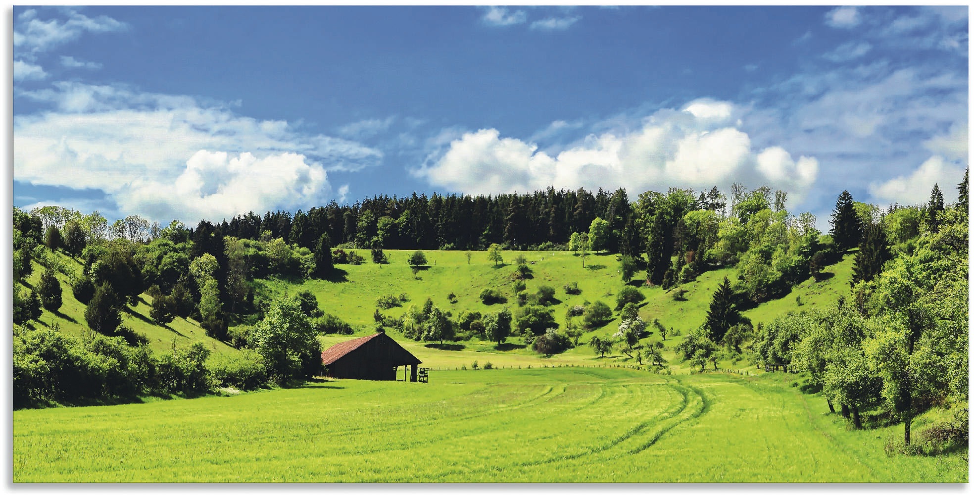 Artland Wandbild »Traumhafte Landschaft im Schwarzwald«, Wiesen & Baumbilde günstig online kaufen
