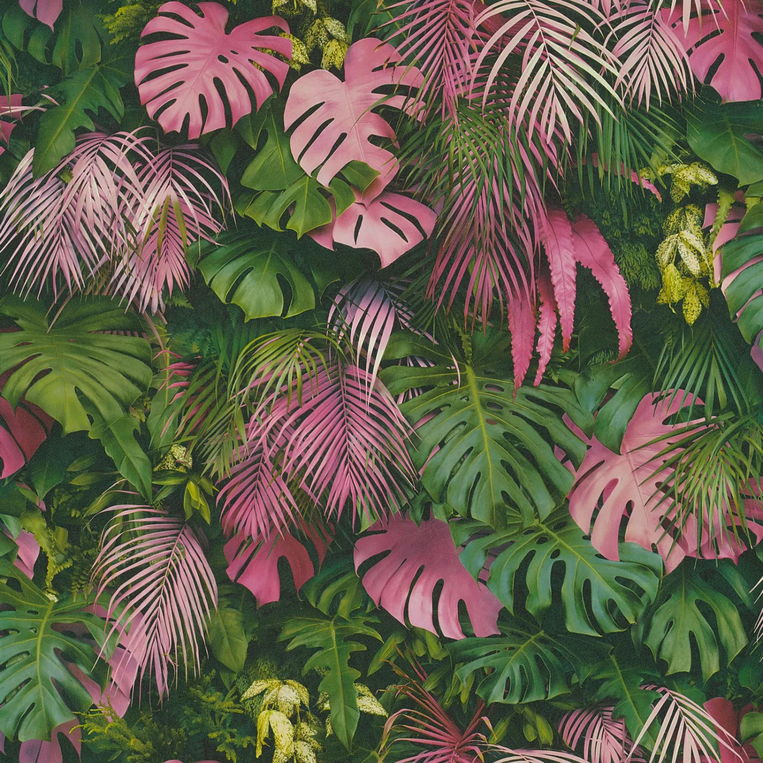 Bricoflor Monstera Tapete ausgefallen Palmentapete in Grün und Pink für Jug günstig online kaufen