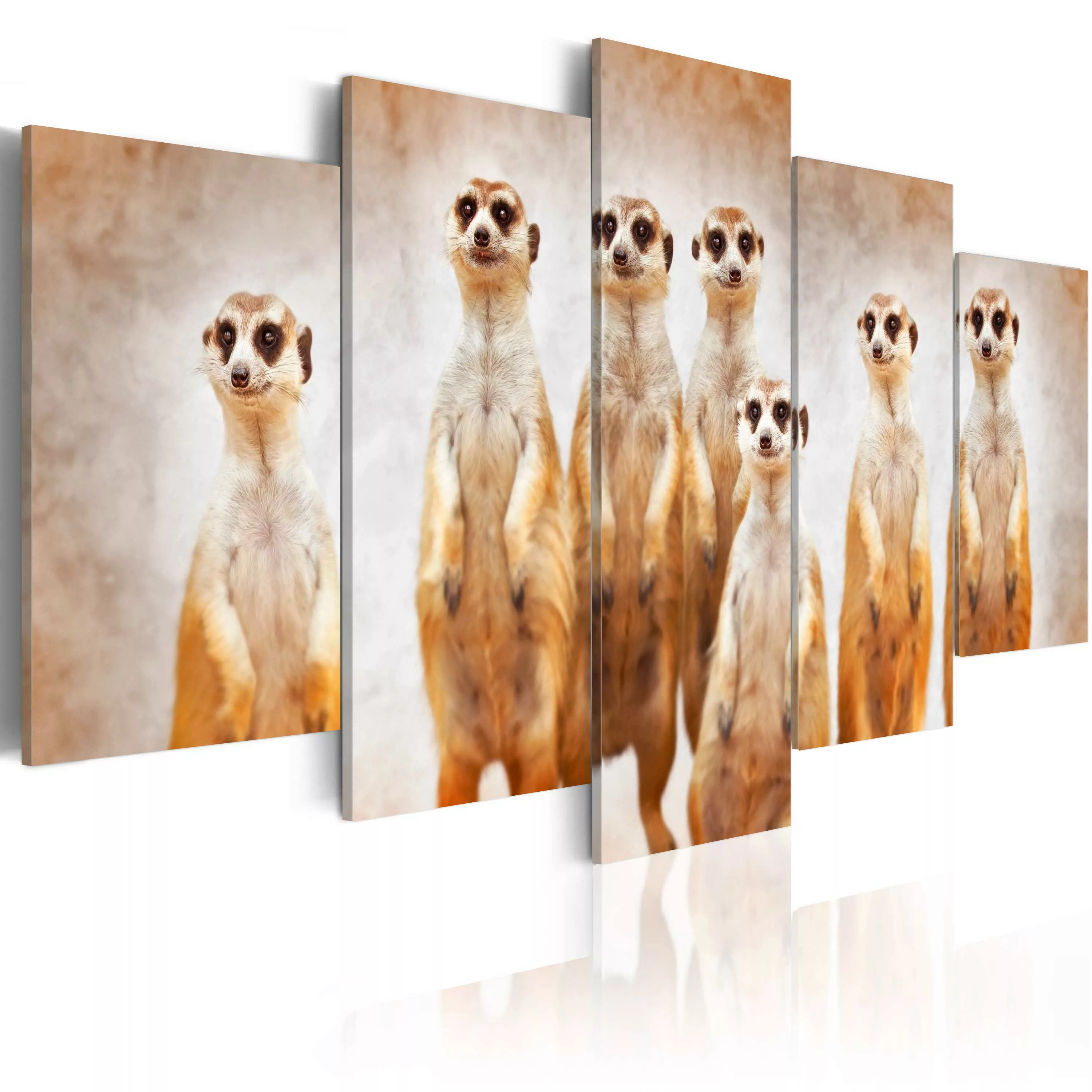 Wandbild - Family of meerkats günstig online kaufen