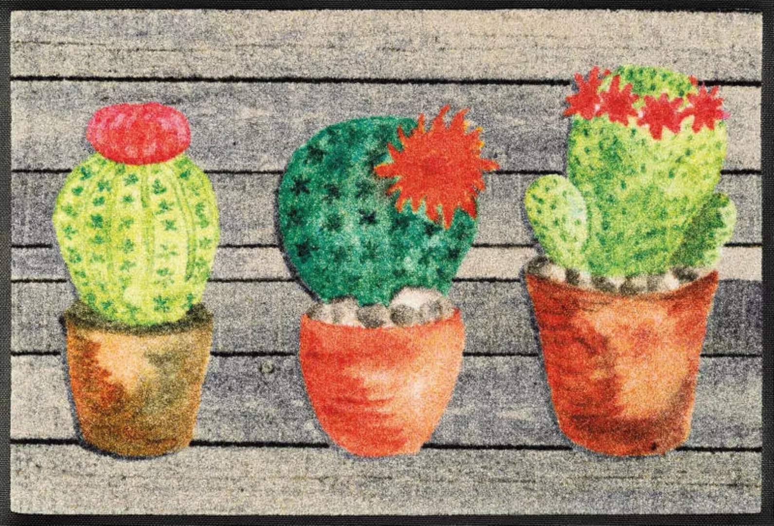 Kleen-Tex Fußmatte Jardin de Cactus günstig online kaufen