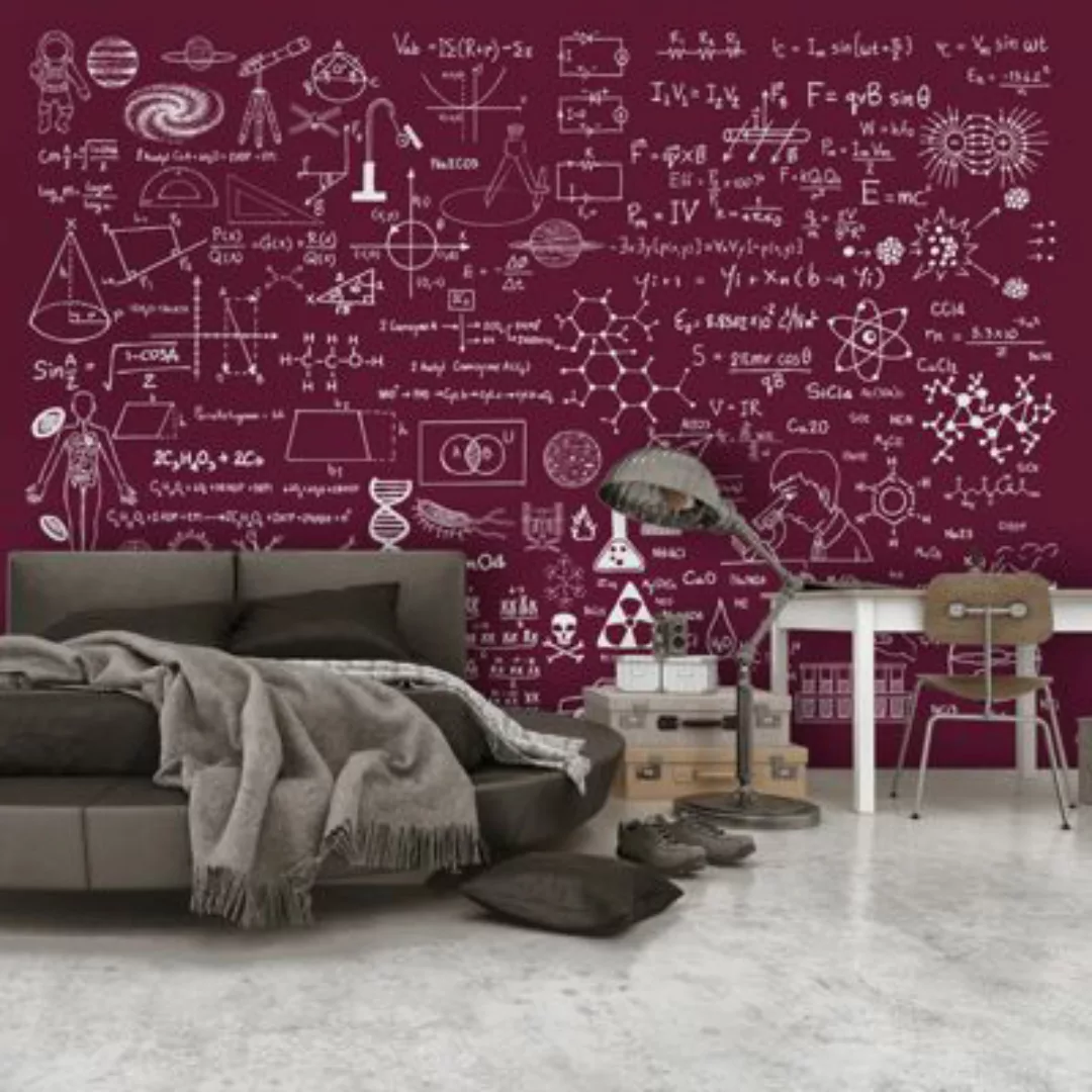 artgeist Fototapete Science Formulas mehrfarbig Gr. 250 x 175 günstig online kaufen