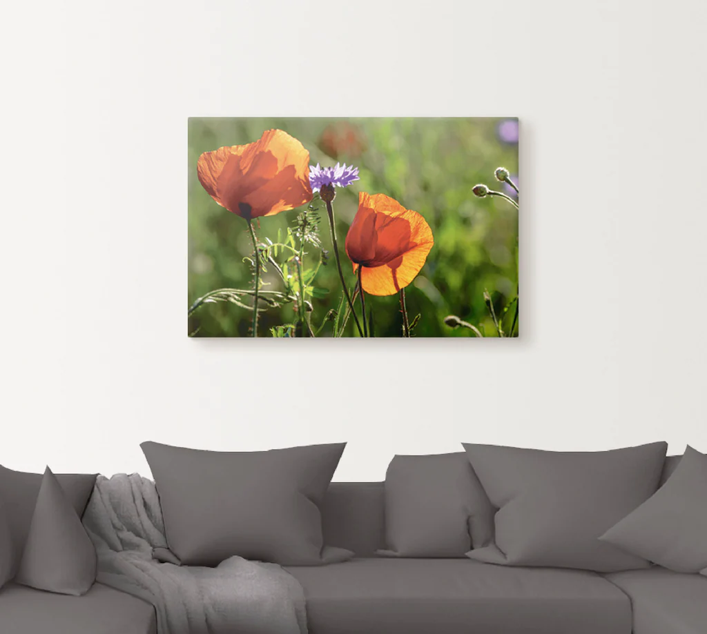Artland Wandbild "Mohnblumen im Frühling", Blumen, (1 St.), als Alubild, Ou günstig online kaufen