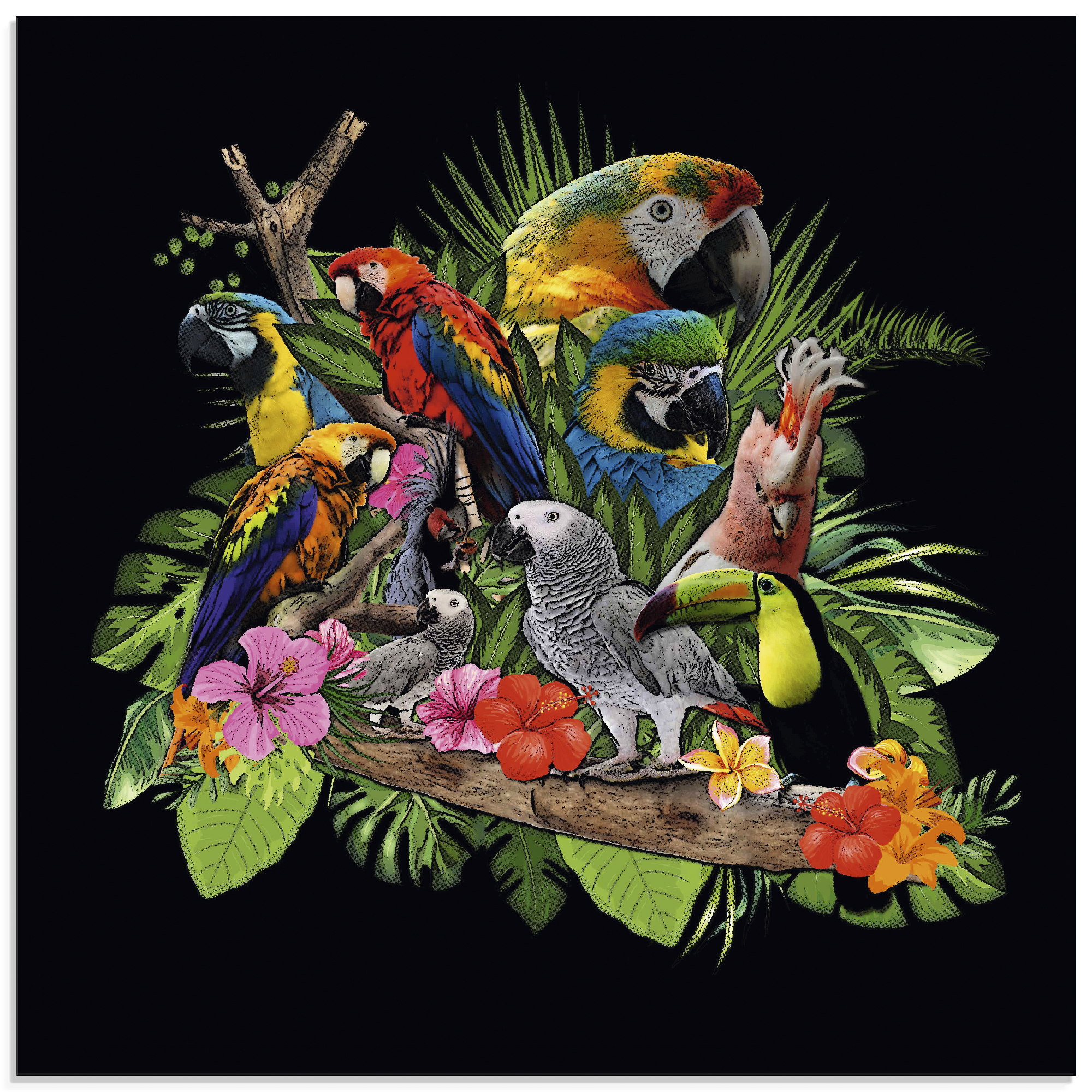 Artland Glasbild "Papageien Graupapagei Kakadu Dschungel", Vögel, (1 St.) günstig online kaufen