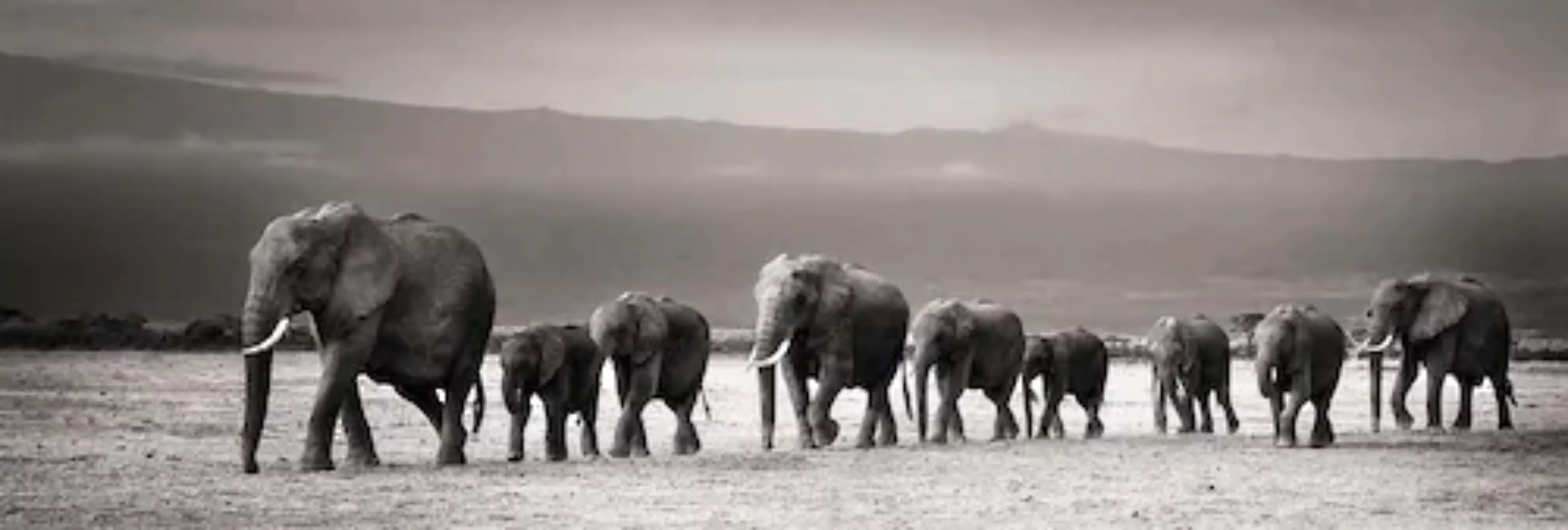 Reinders Wandbild "Elefantenparade" günstig online kaufen