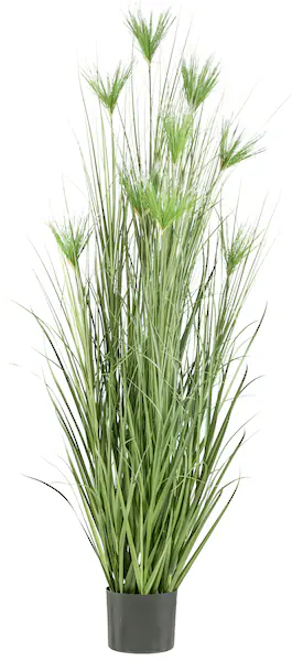 Creativ green Kunstgras »Zyperngras«, mit sieben Zyperngrasblüten günstig online kaufen