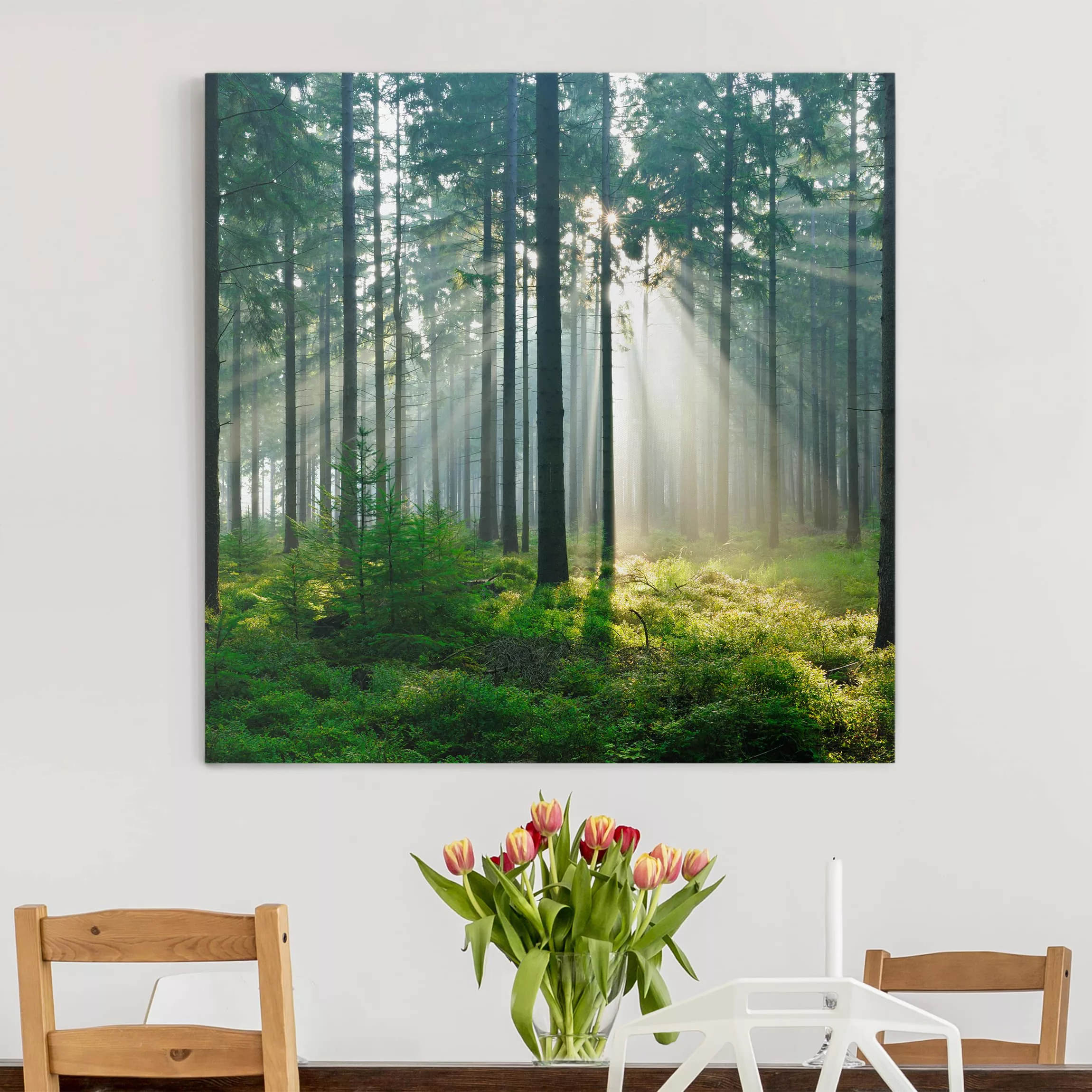 Leinwandbild Wald - Quadrat Enlightened Forest günstig online kaufen