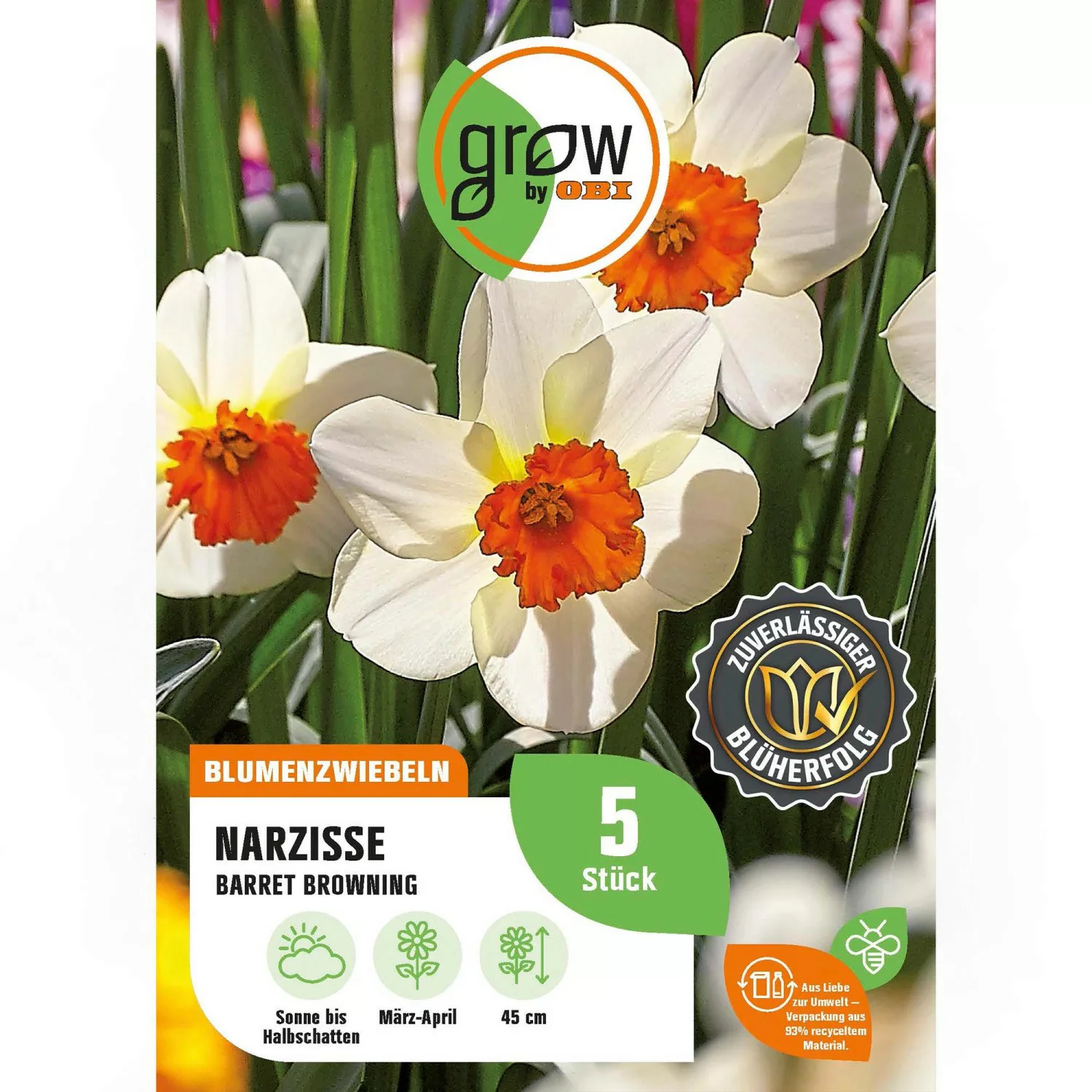 GROW by OBI Narzisse Barret Browning Weiß-Orange 45 cm Narcissus günstig online kaufen