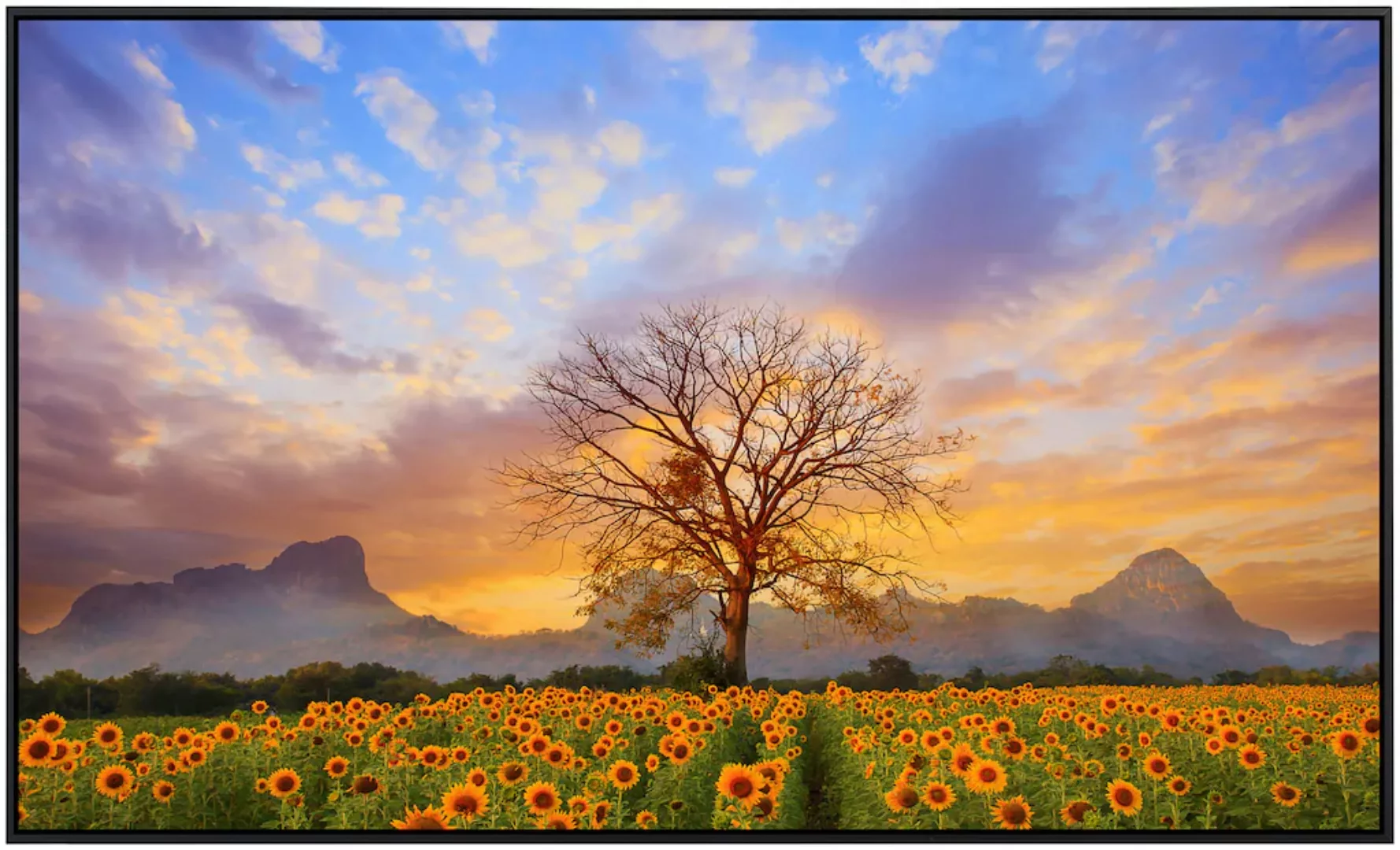 Papermoon Infrarotheizung »Sonnenblumen Dusky Sky«, sehr angenehme Strahlun günstig online kaufen