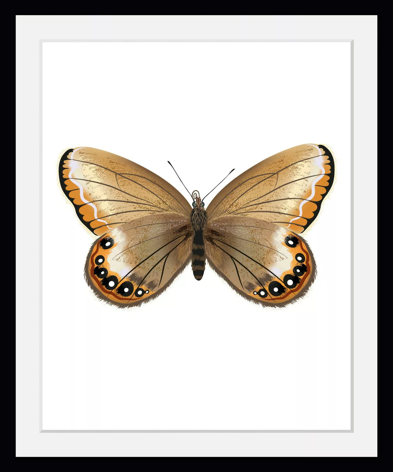 queence Bild "Lexy", Schmetterlinge, (1 St.) günstig online kaufen
