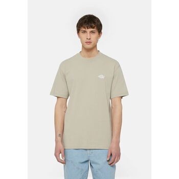 Dickies  T-Shirts & Poloshirts SUMMERDALE SS - DK0A4YA-SS01 SANDSTONE günstig online kaufen