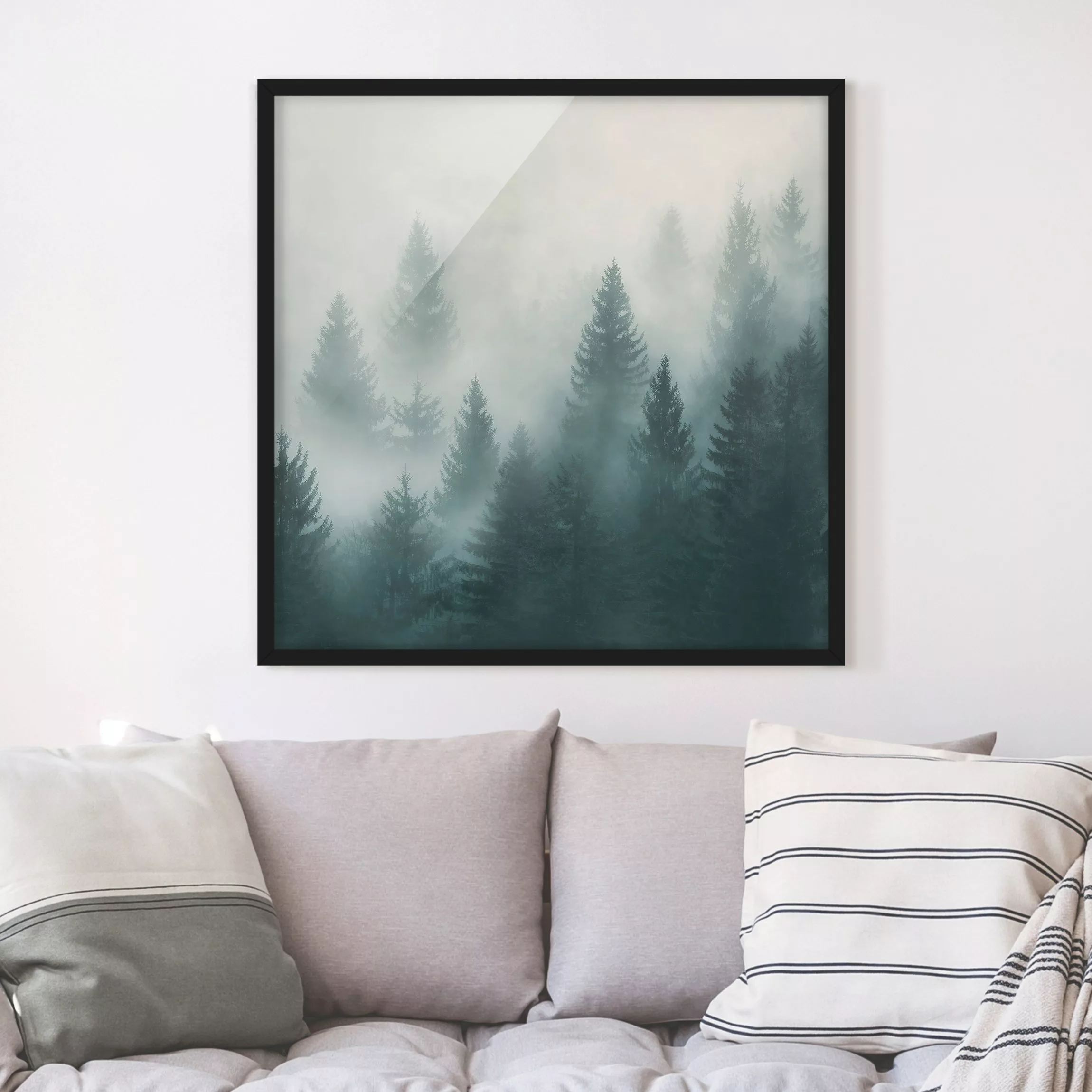 Bild mit Rahmen Natur & Landschaft - Quadrat Nadelwald im Nebel günstig online kaufen