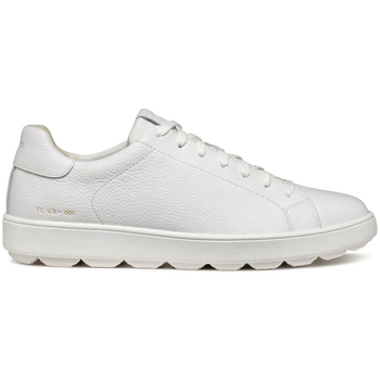 Geox  Sneaker U Spherica ECUB-1 sneaker günstig online kaufen