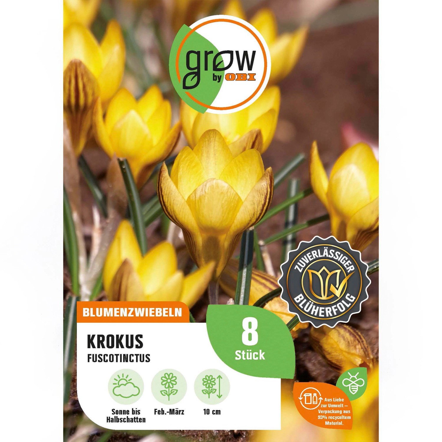 GROW by OBI Krokus Fuscotinctus Orange 8 Stück Crocus chrycanthus Fuscotinc günstig online kaufen