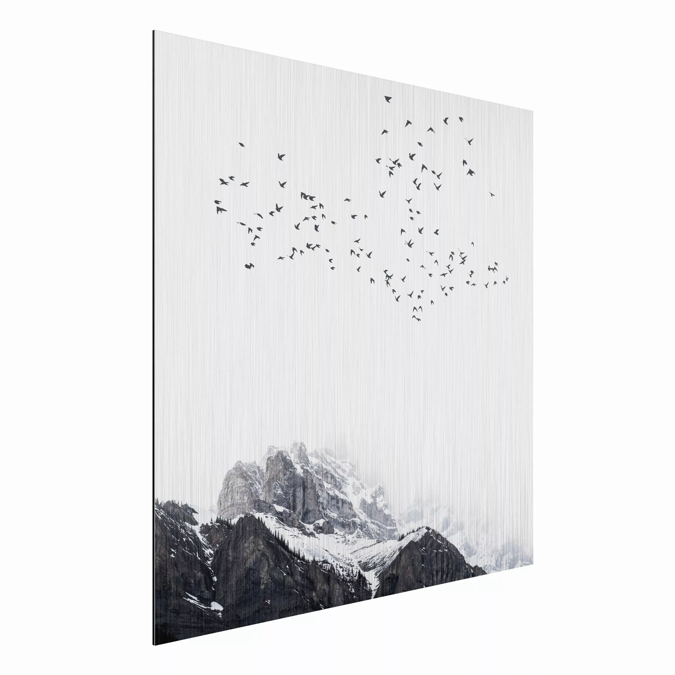 Alu-Dibond Bild Vogelschwarm vor Bergen Schwarz Weiß günstig online kaufen