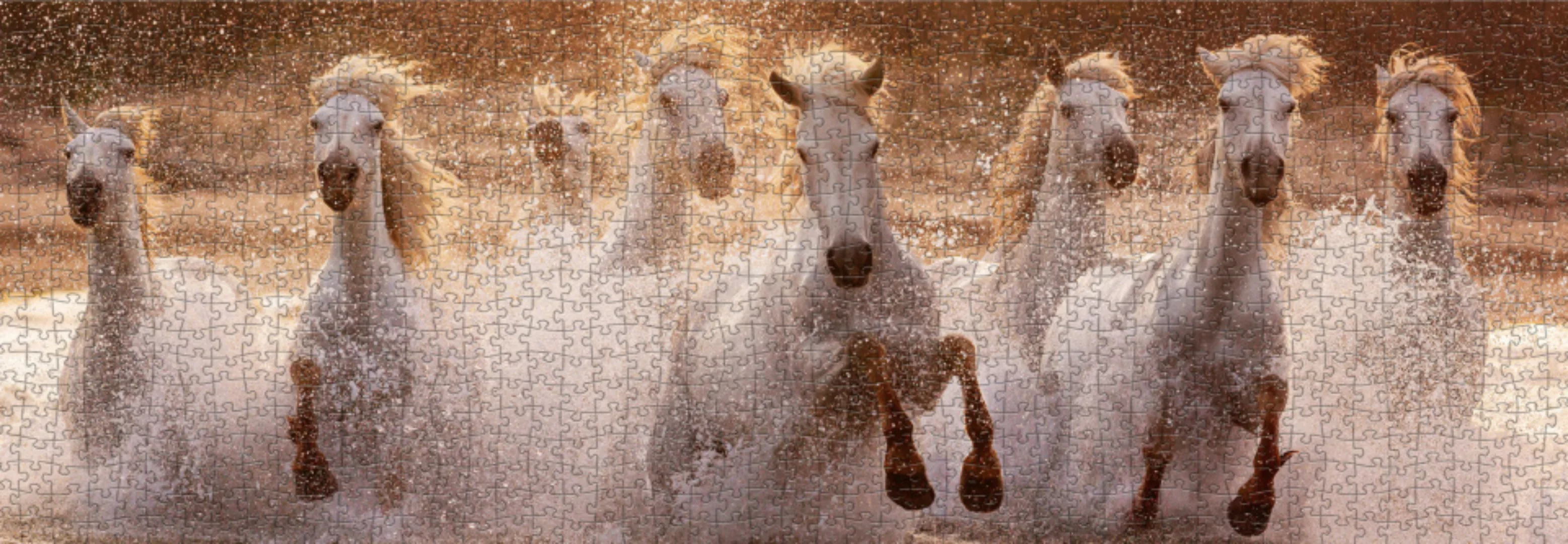 Puzzle White Horses Panorama 1000 Teile günstig online kaufen
