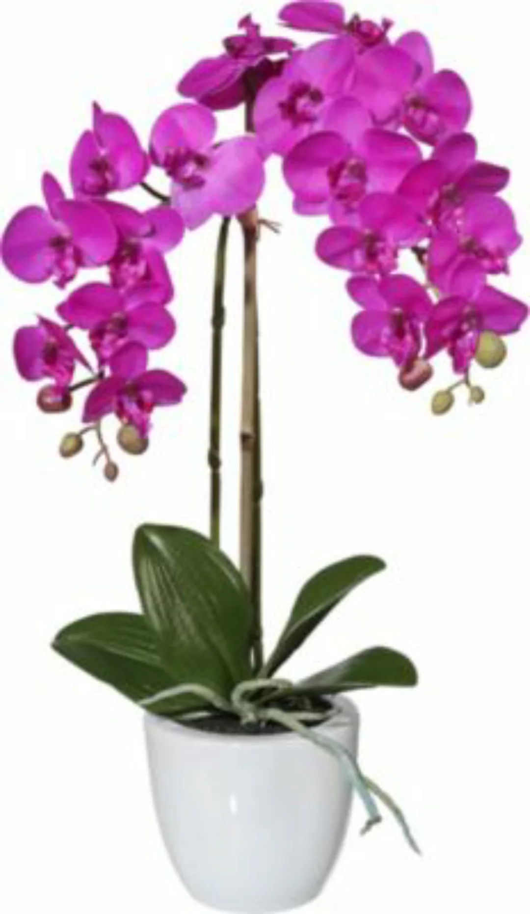 Kunstpflanze Orchidee rosa/grün günstig online kaufen