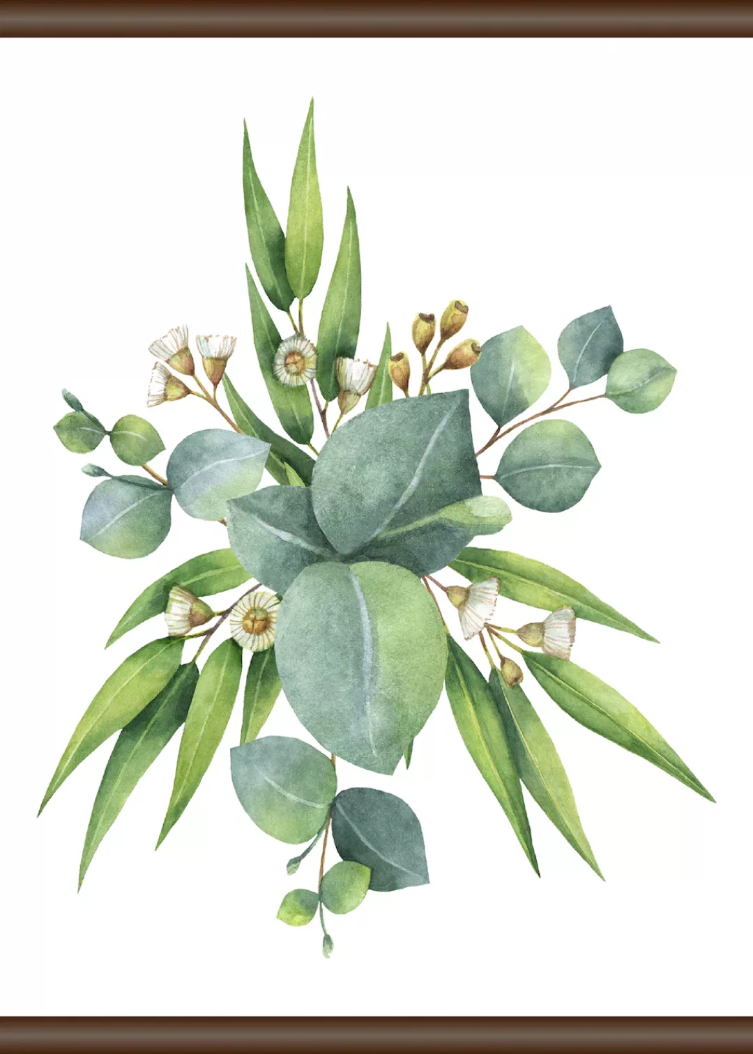 queence Leinwandbild "Eukalyptus Pflanze" günstig online kaufen