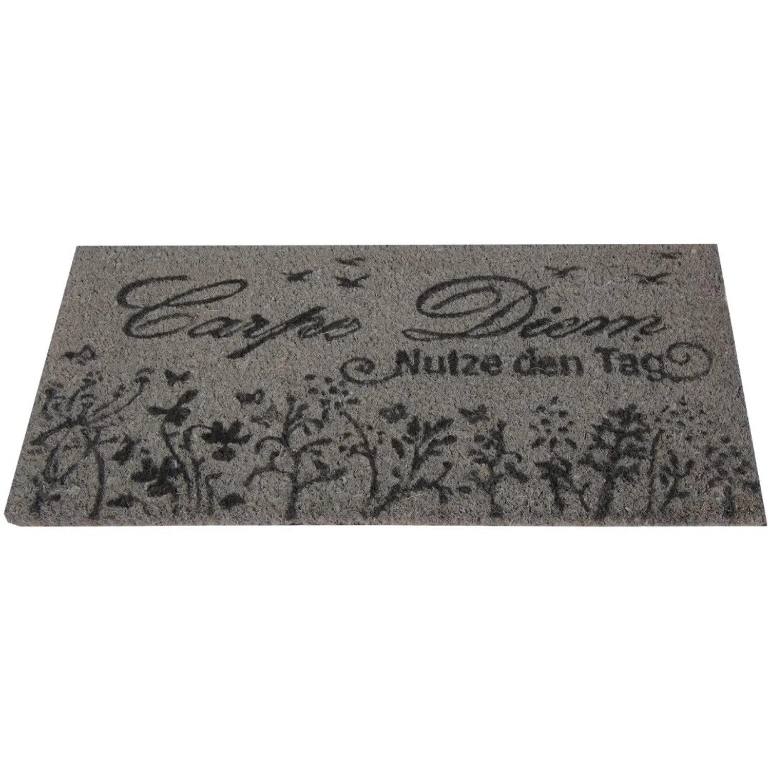 Bestlivings Kokos Fußmatte 50 x 75 cm Carpe Diem günstig online kaufen